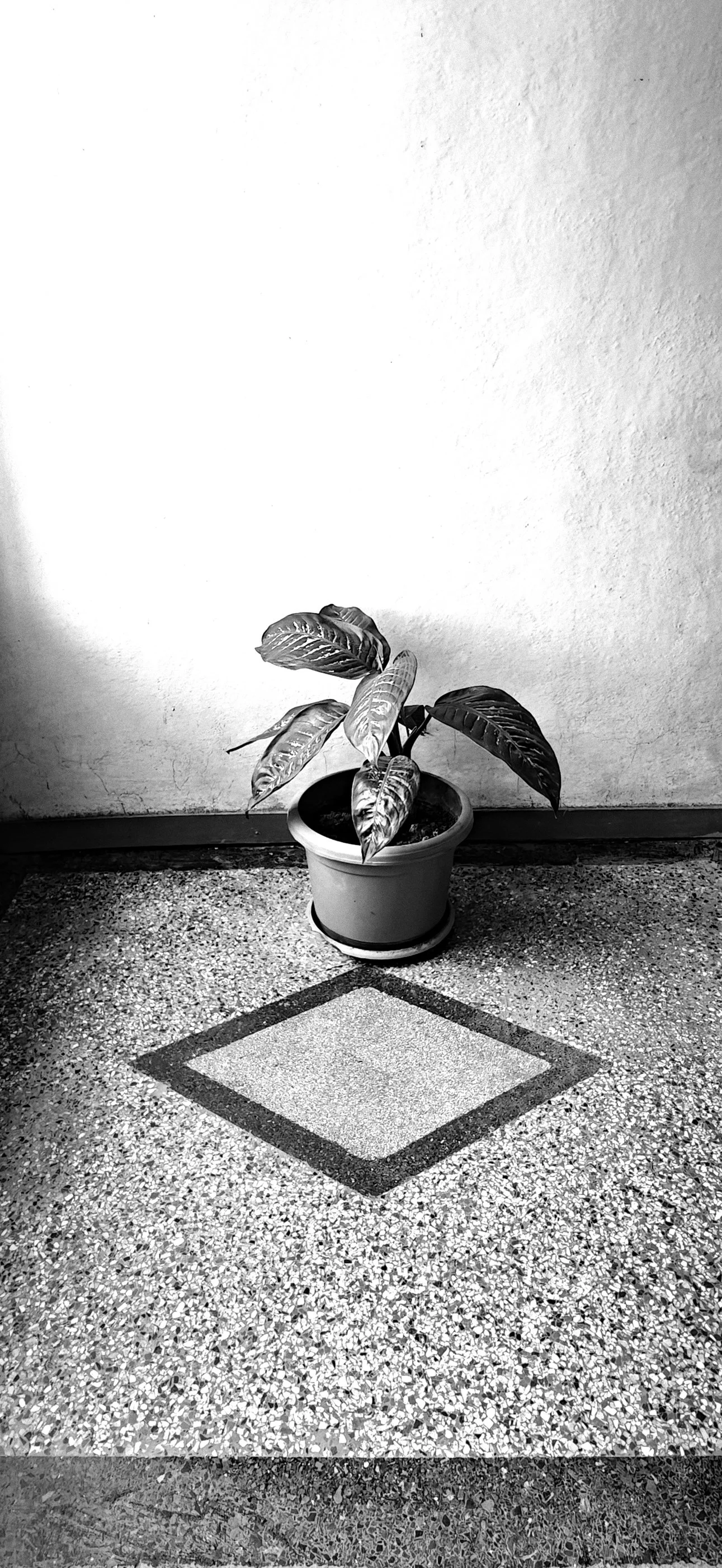 Inside Hamasien Hotel 