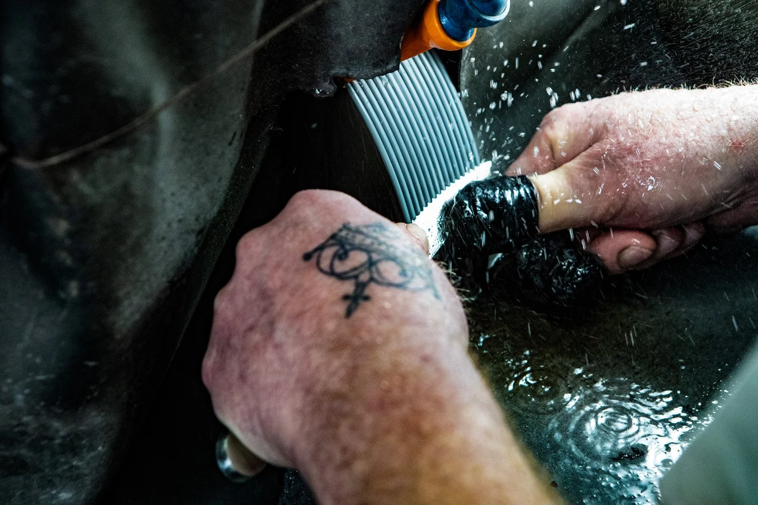 Wellenschliff  D2.jpg