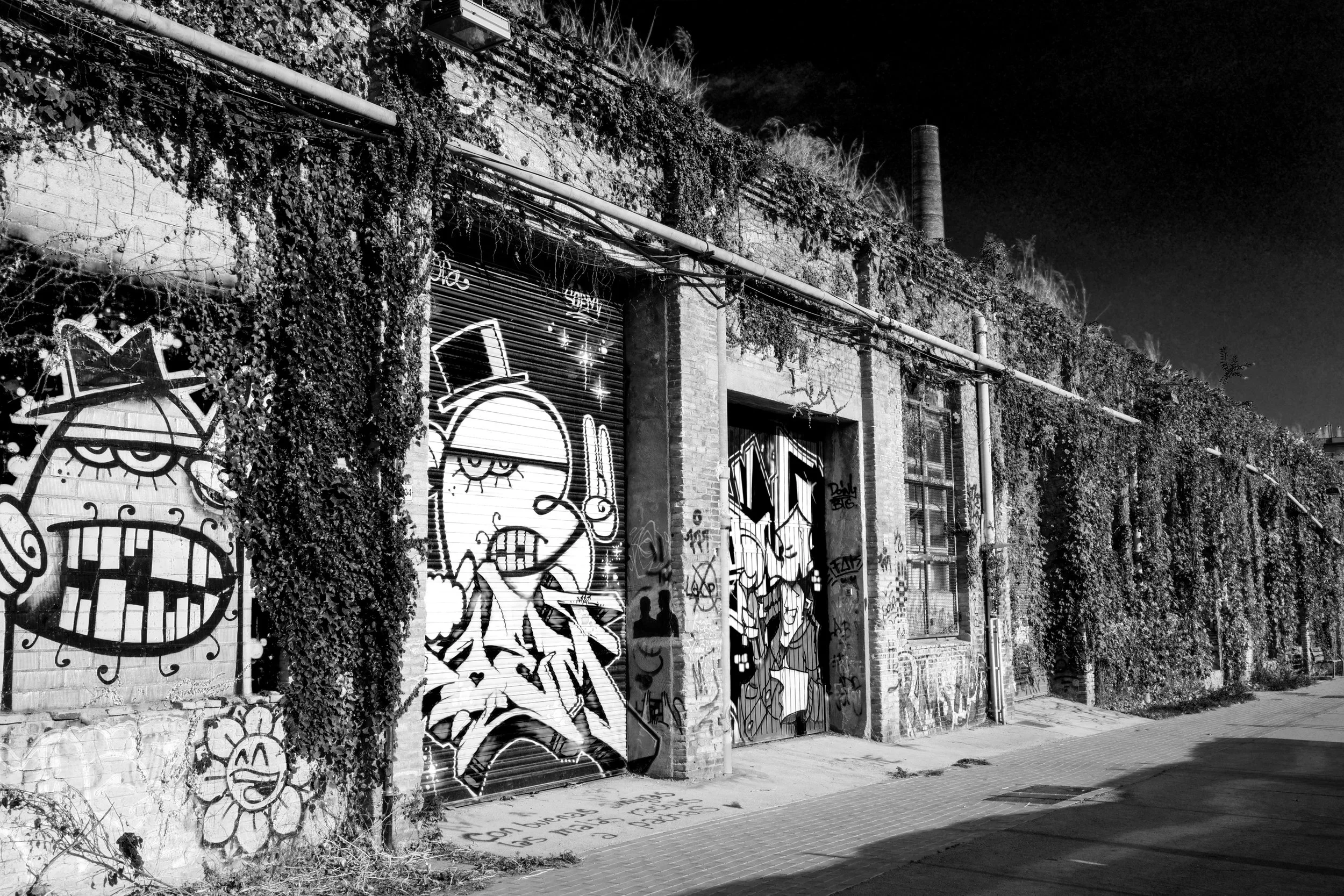 Graffitii Efeu BCN sw.jpg