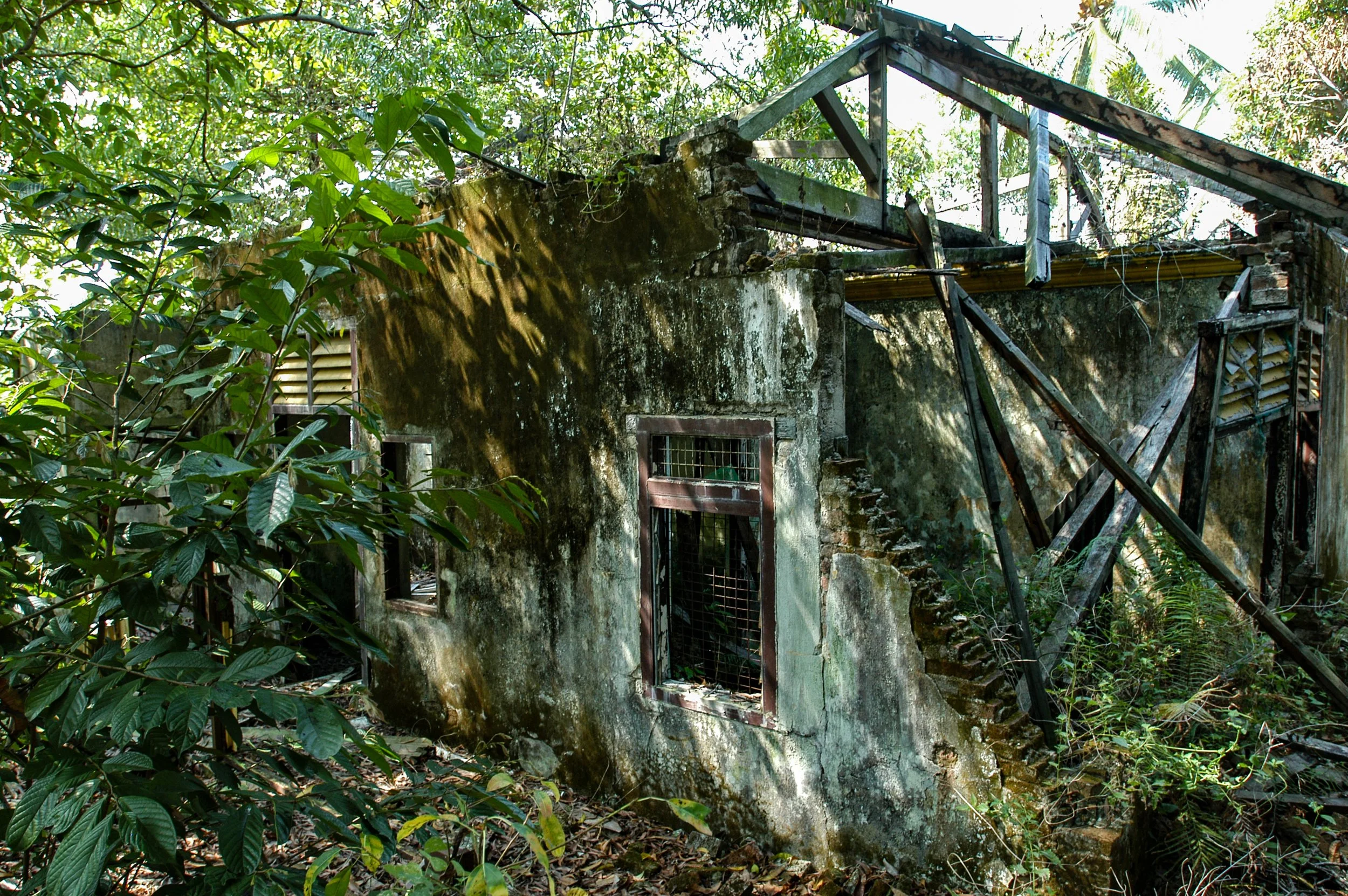 Haus 3.jpg