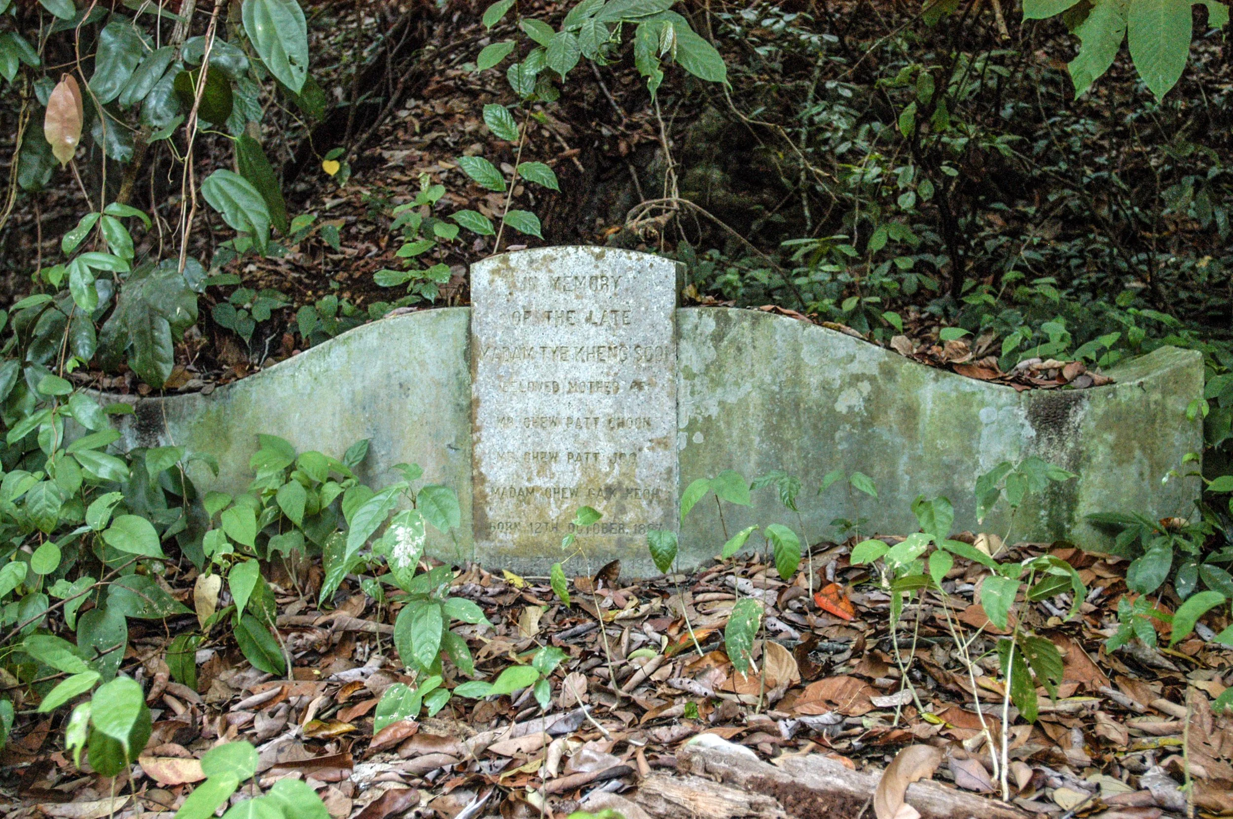 DSC_0772.jpg