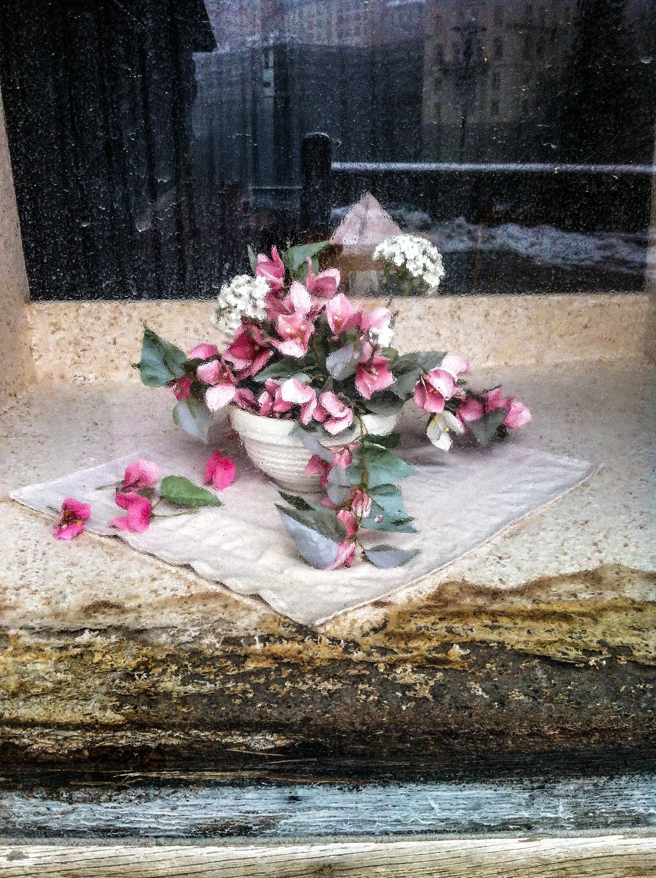 Gastein Feilchen .jpg