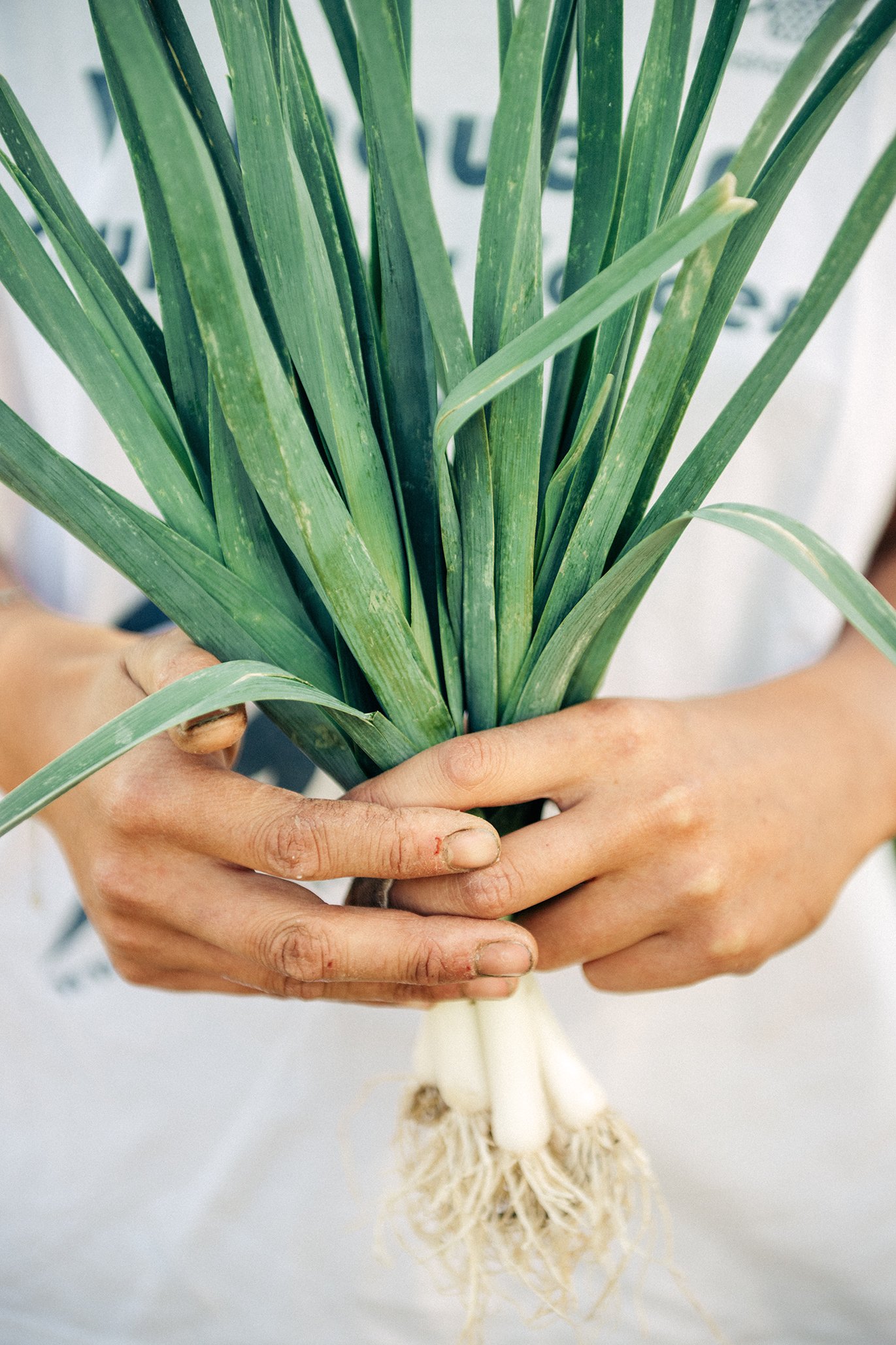 SAB_1730 copie (1).jpg