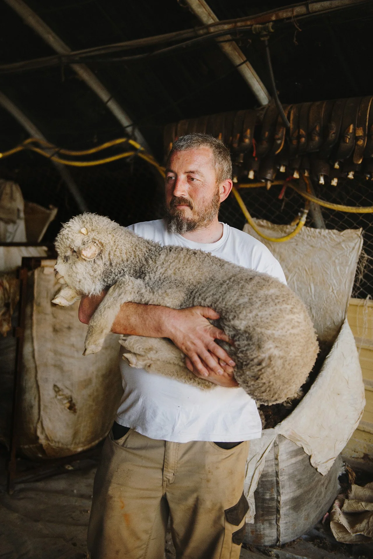 HD_BrunDeVianTiran28 copie 2.jpg