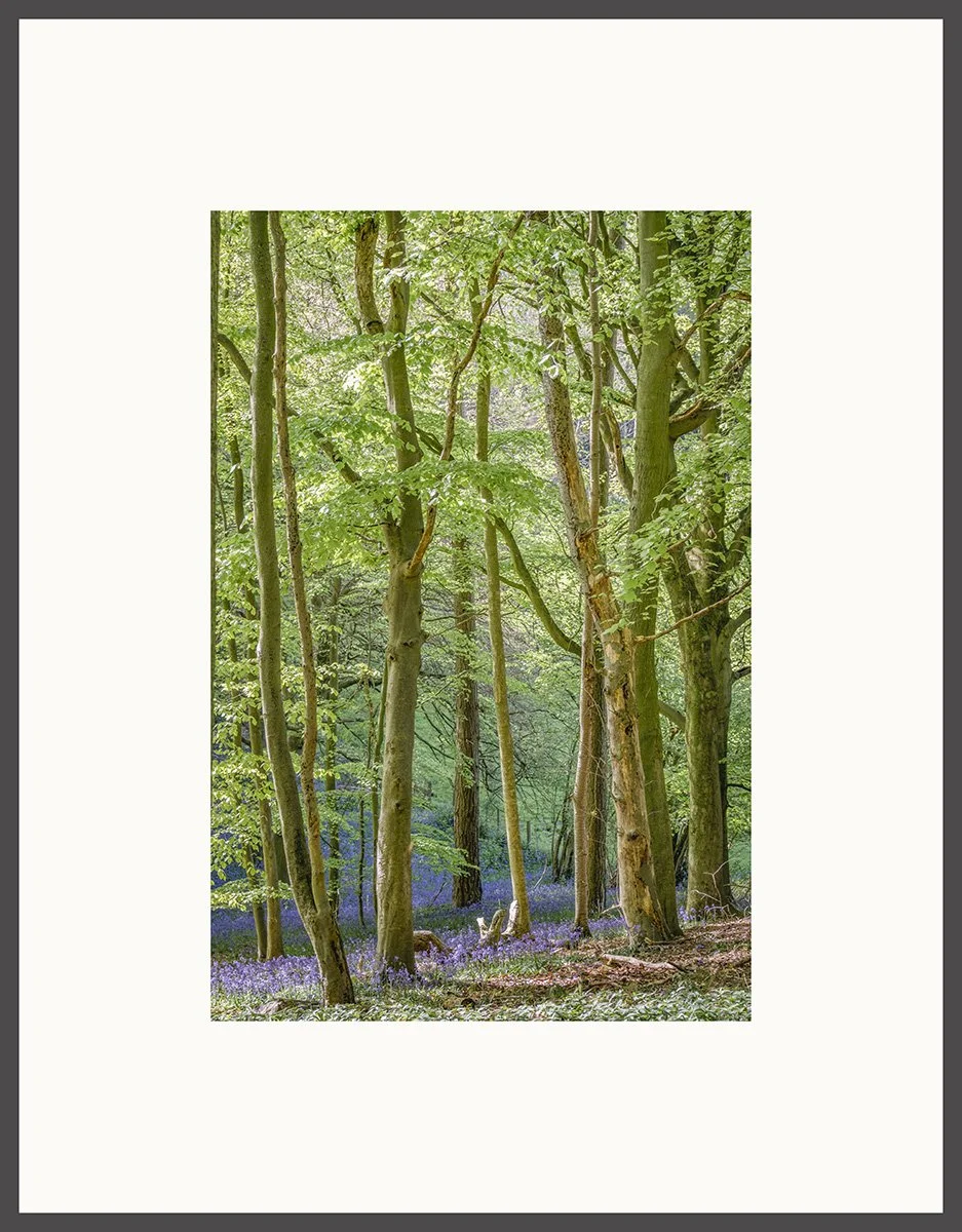 WEBAunts Trees 05framed2.jpg