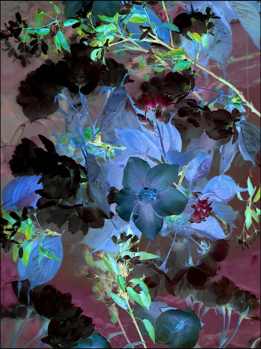 bluehydrangeasmall.jpg