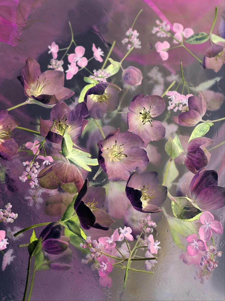 helleboresmall.jpg
