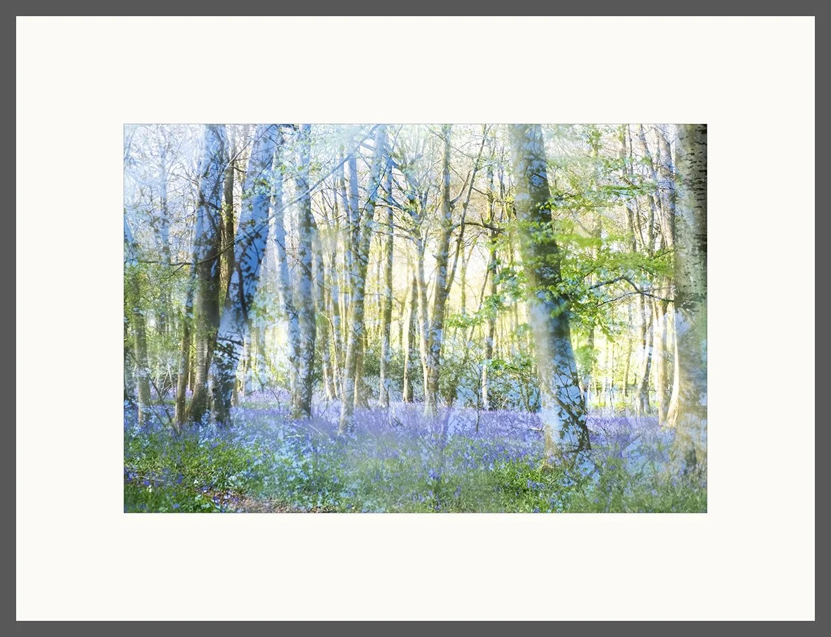 WEBDSCF0055 (1framed).jpg