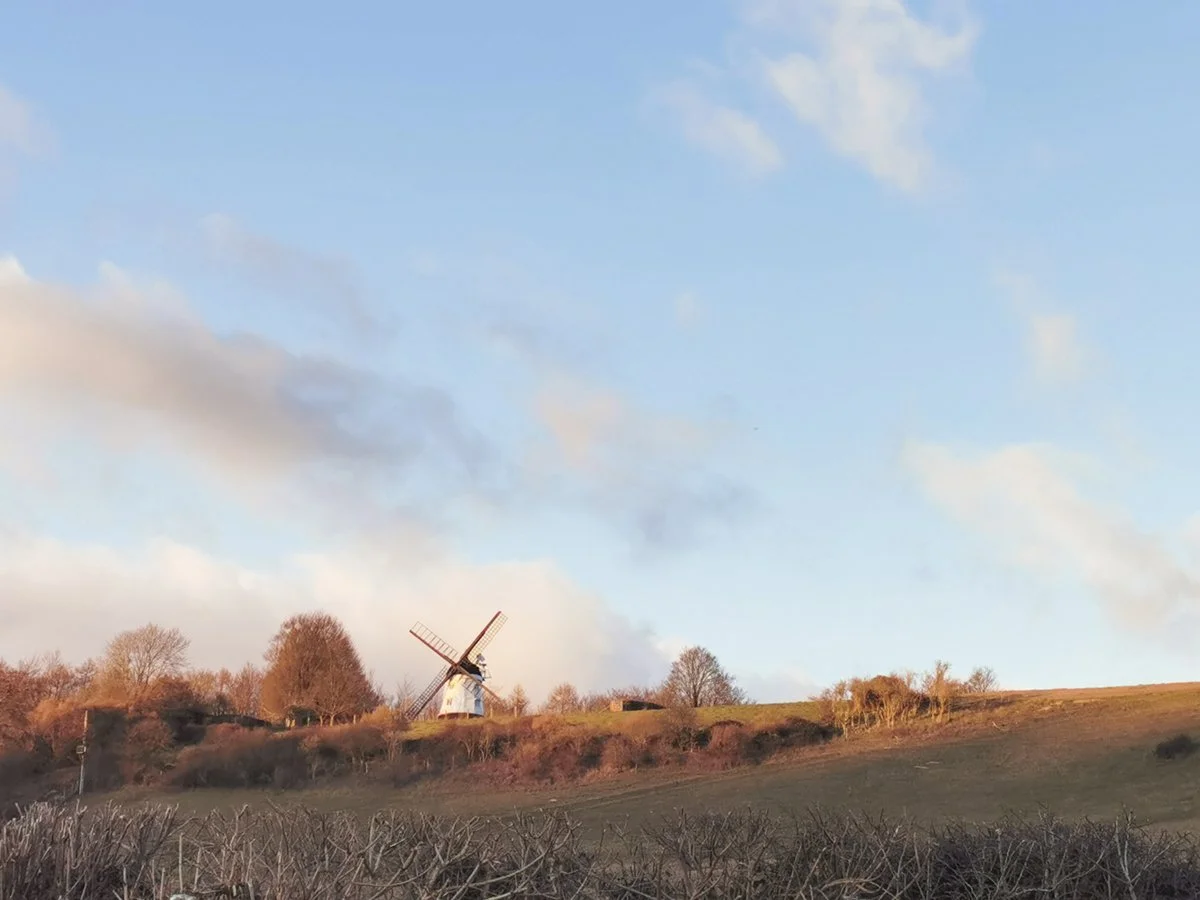 IMG_20230227_172109 for website.jpg