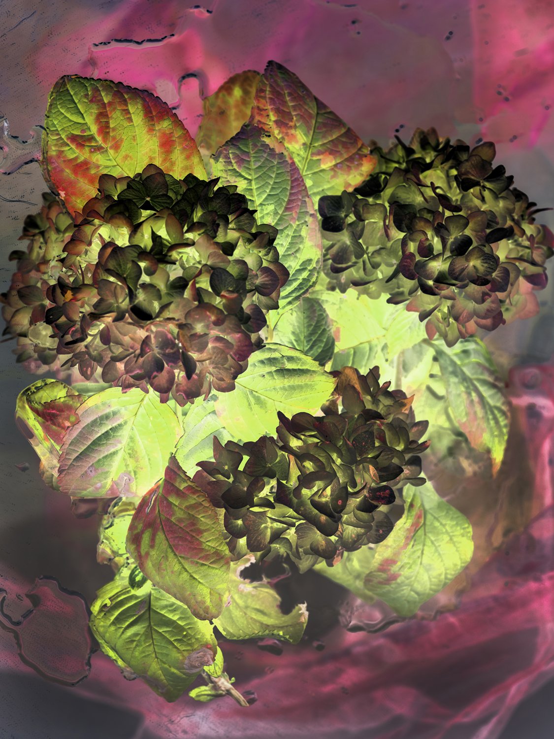 DSCF1105edit.jpg