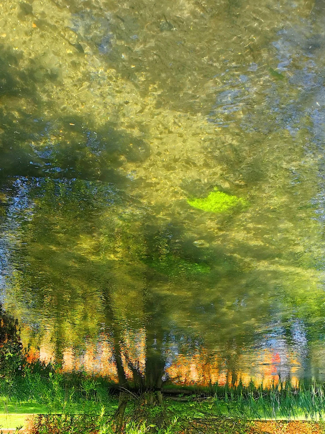 IMG_20200422_113251madcrop2.jpg