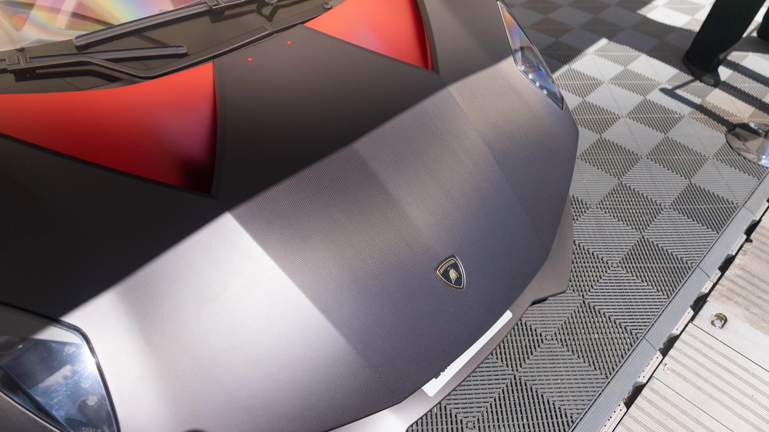 0C8A9113.jpg