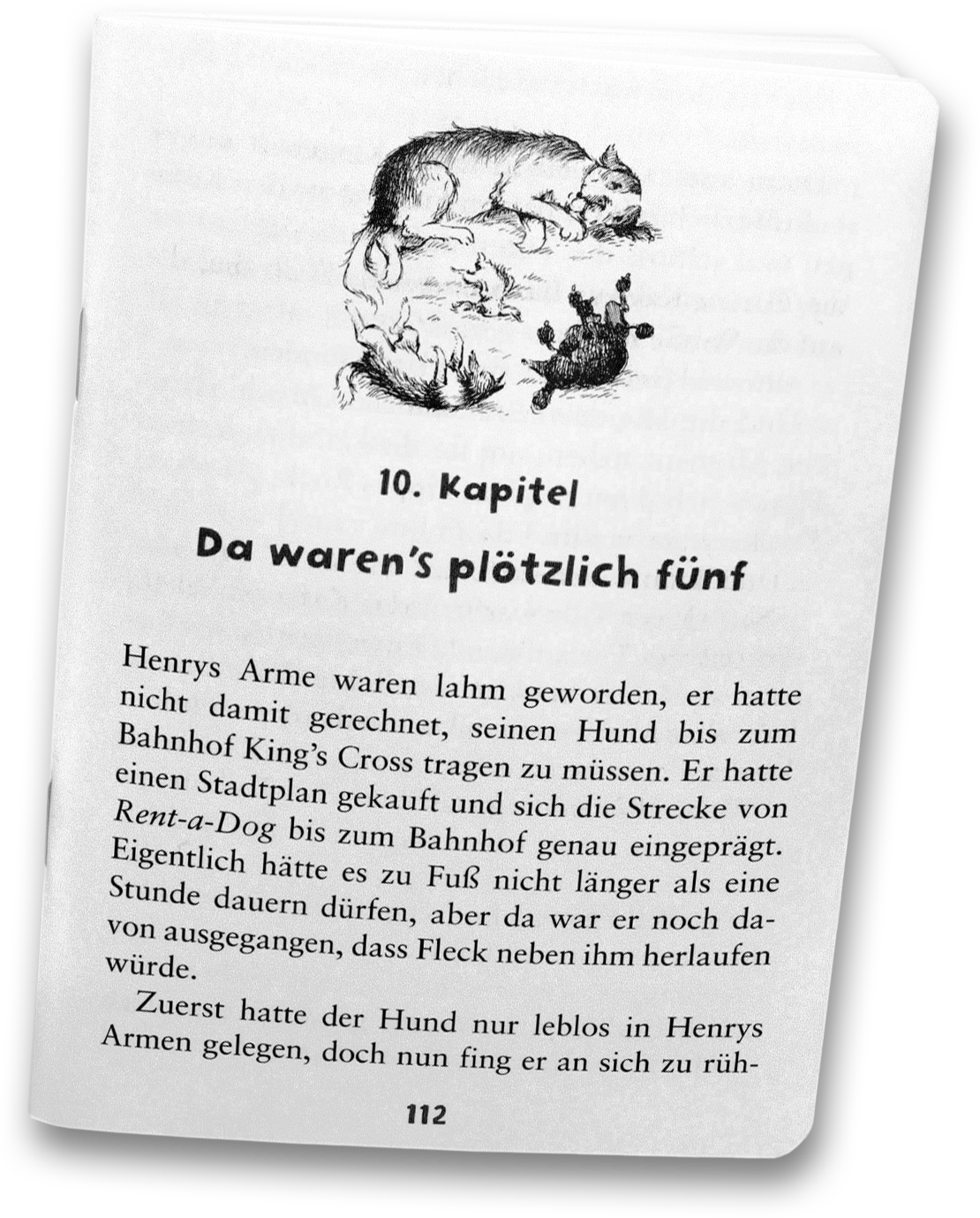 Salto Wortale Plus - Lesung als Textfassung