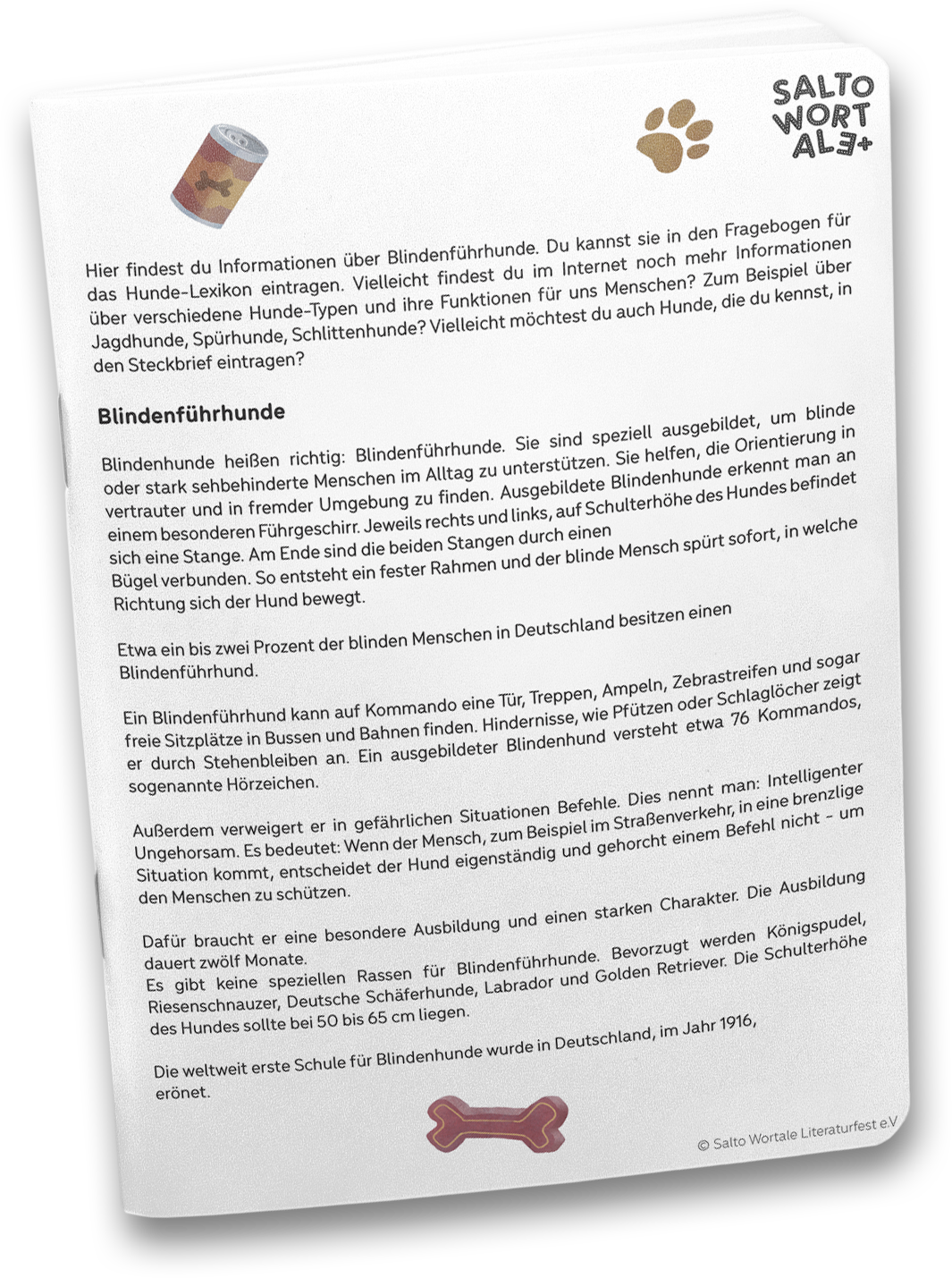 Salto Wortale Plus - Blindenfuehrhunde