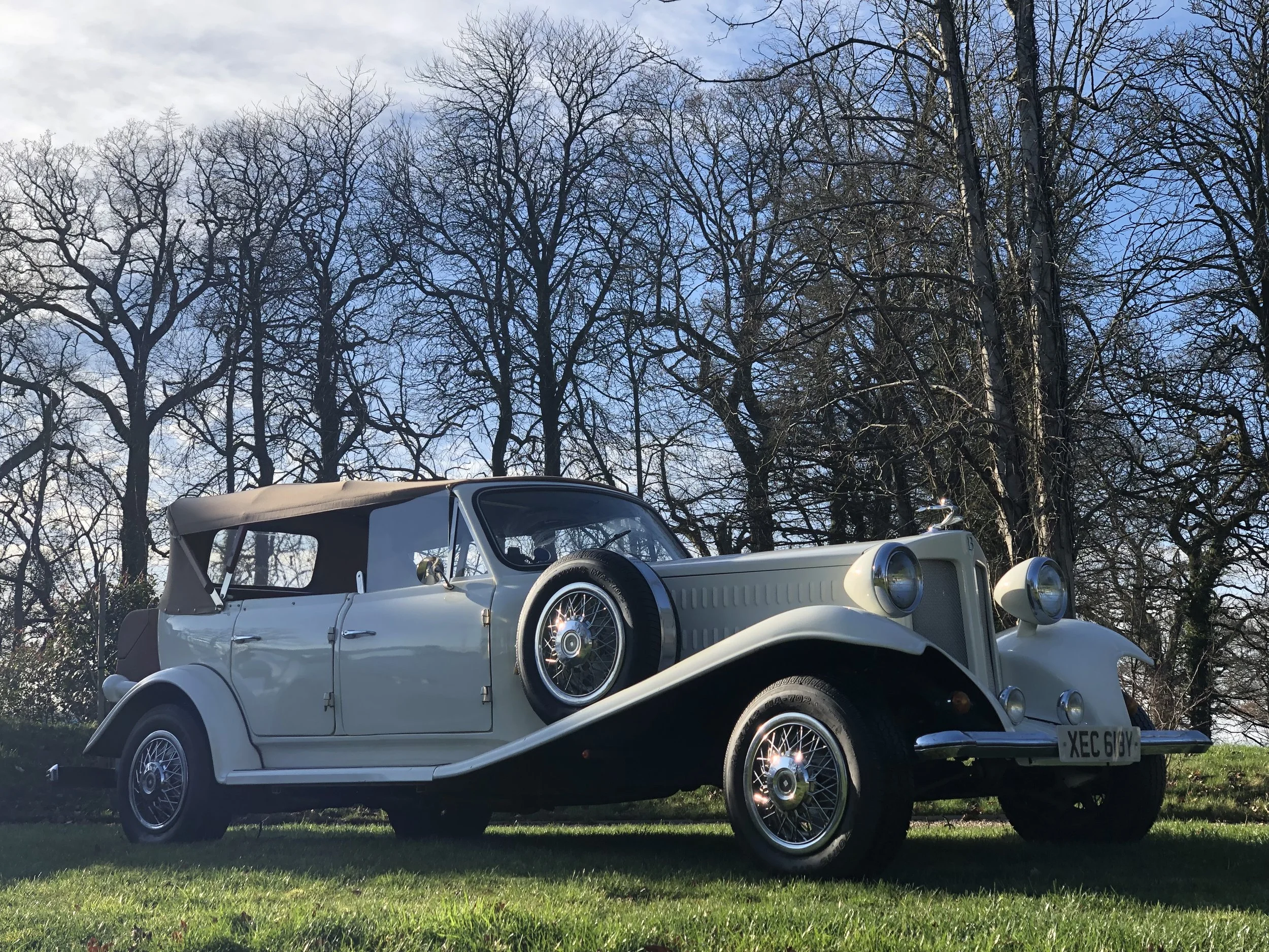 Vintage car with white body parked on grass with bare trees in the background.