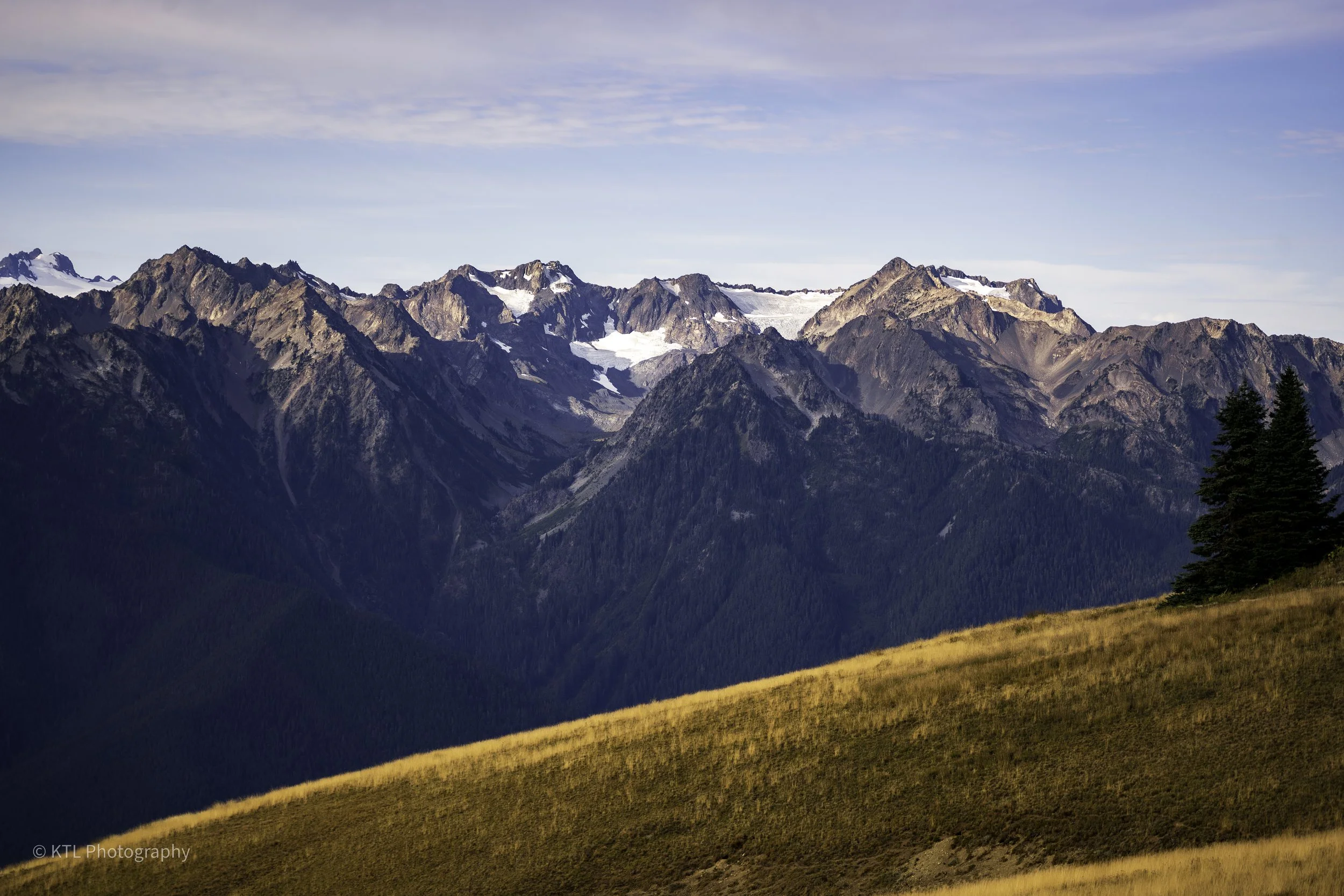 Snowcapped Mt. Olympus, view from Hurricane Ridge
