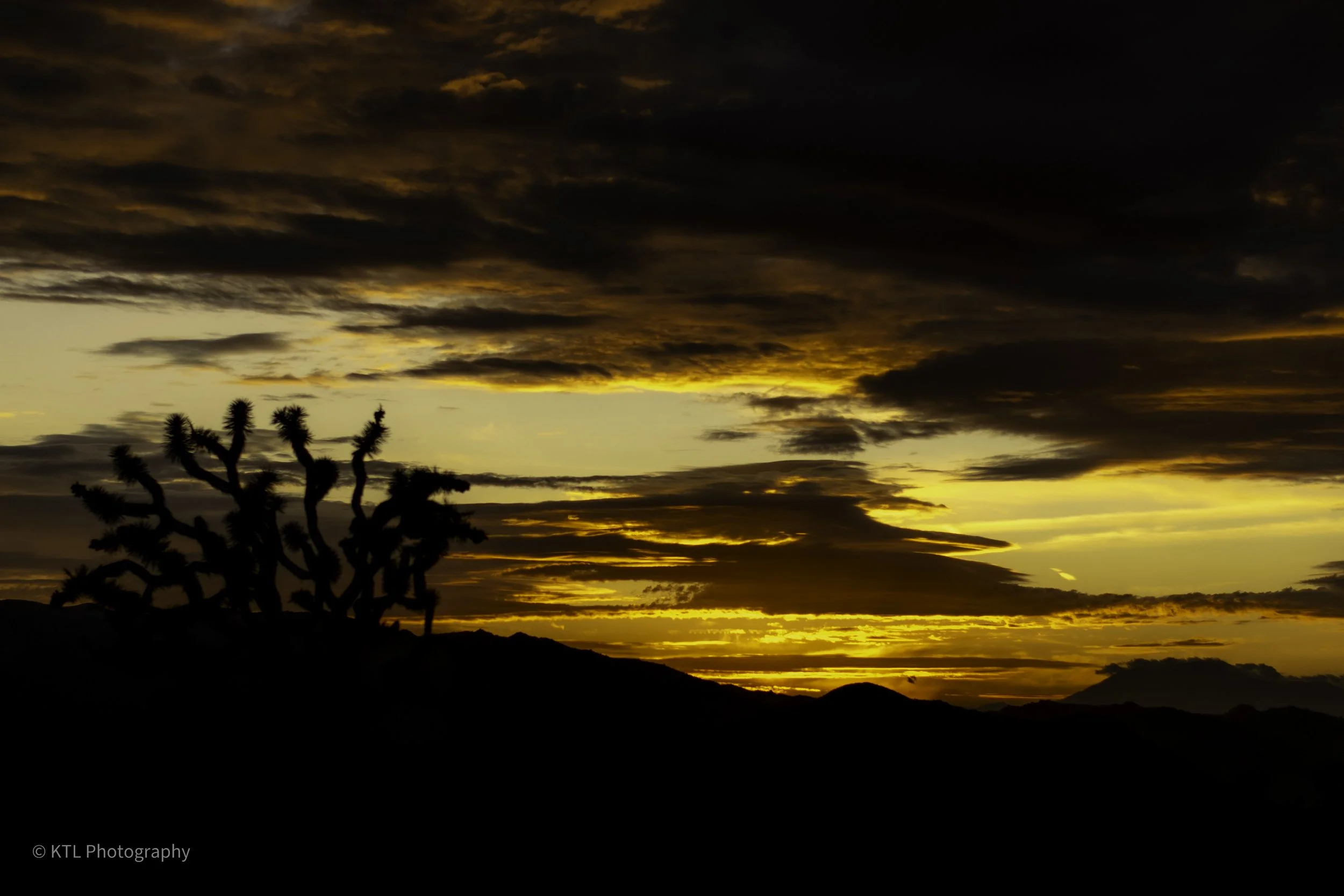 Desert sunset sky