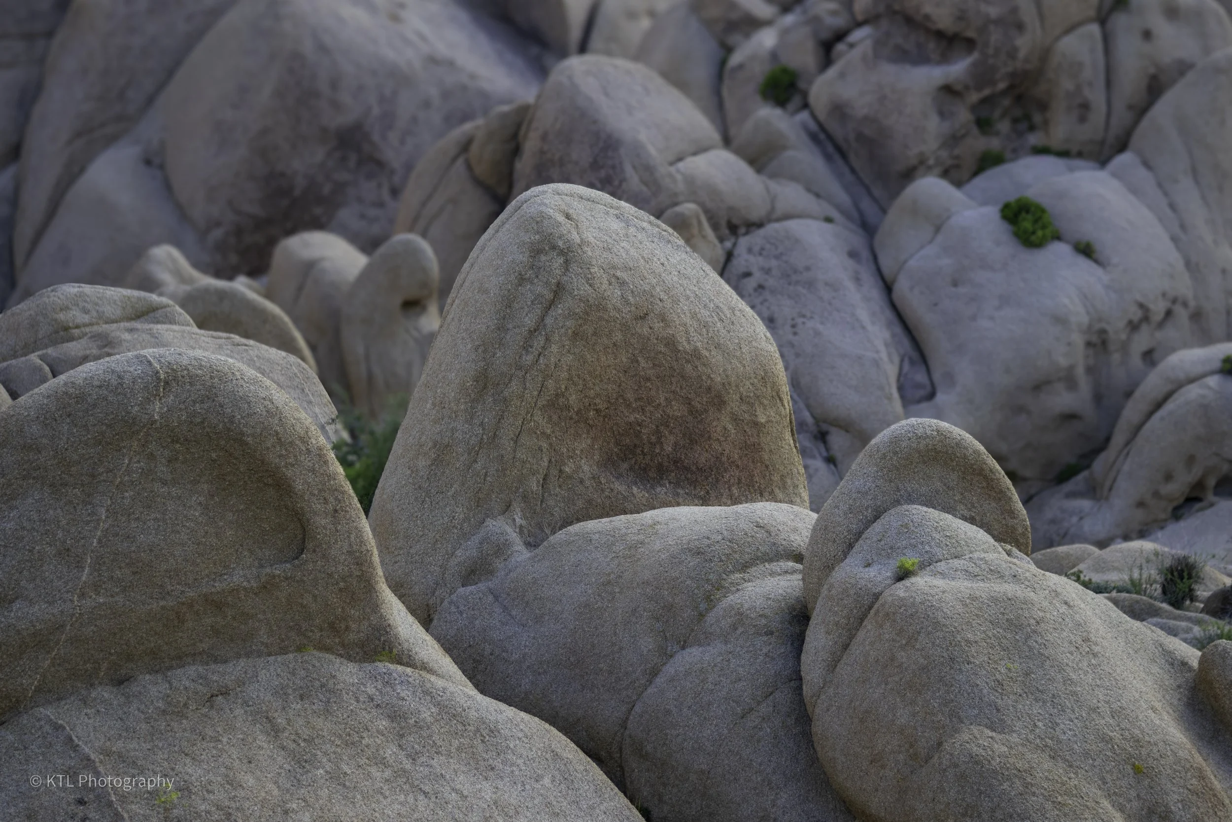 Weathered Rocks