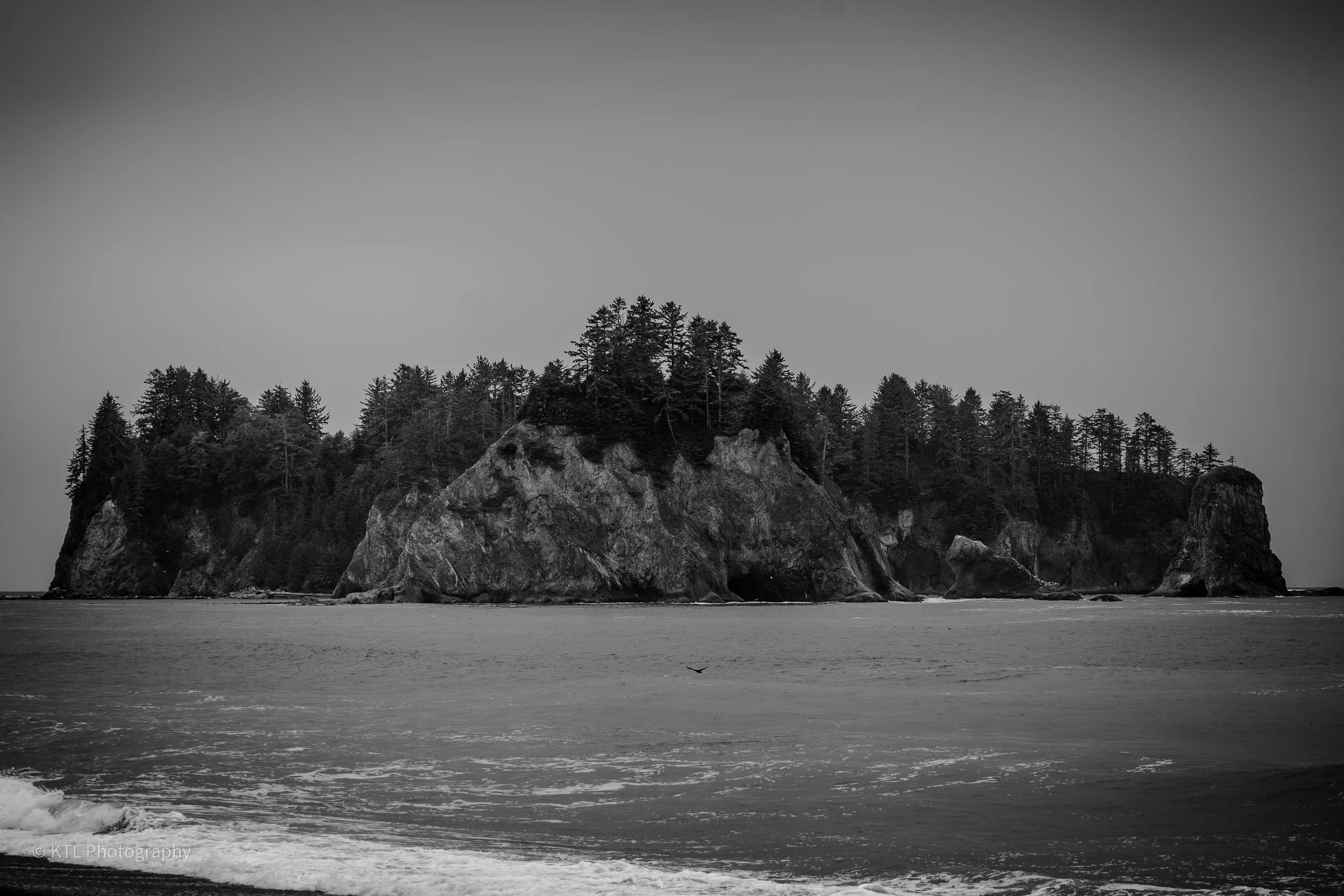 Island, Pacific Ocean, Olympic National Park