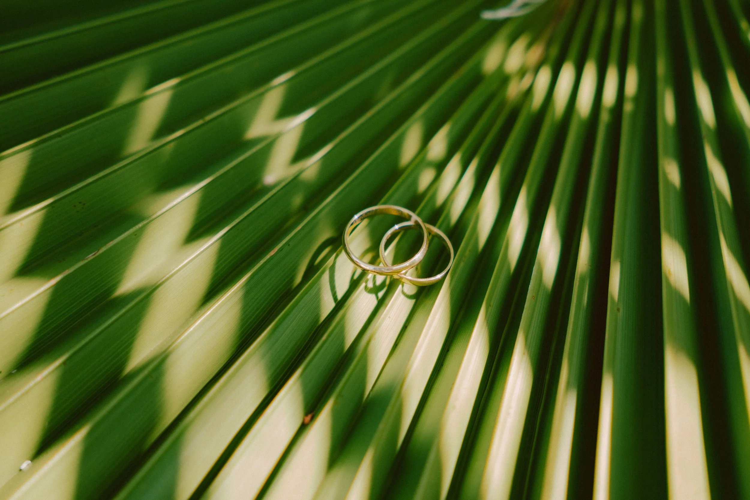 Mariage-72.jpg
