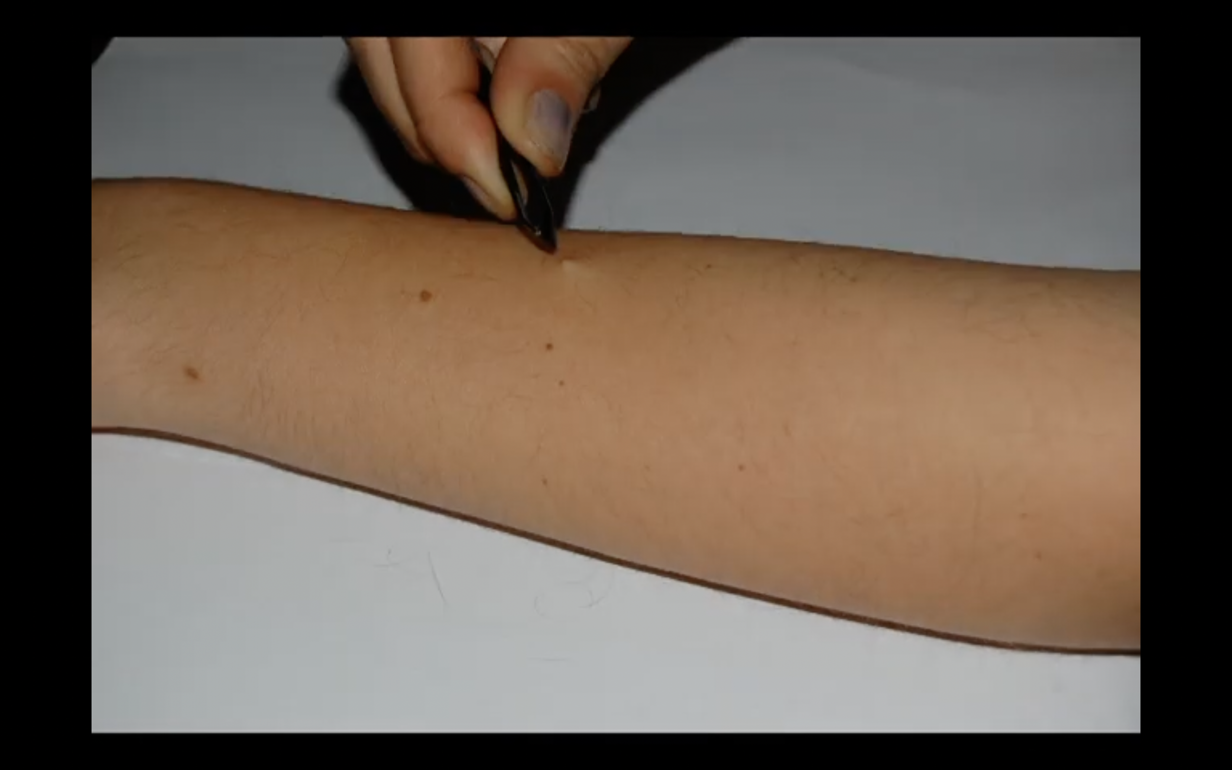 Screenshot 2025-11-09 at 1.49.57 PM.png