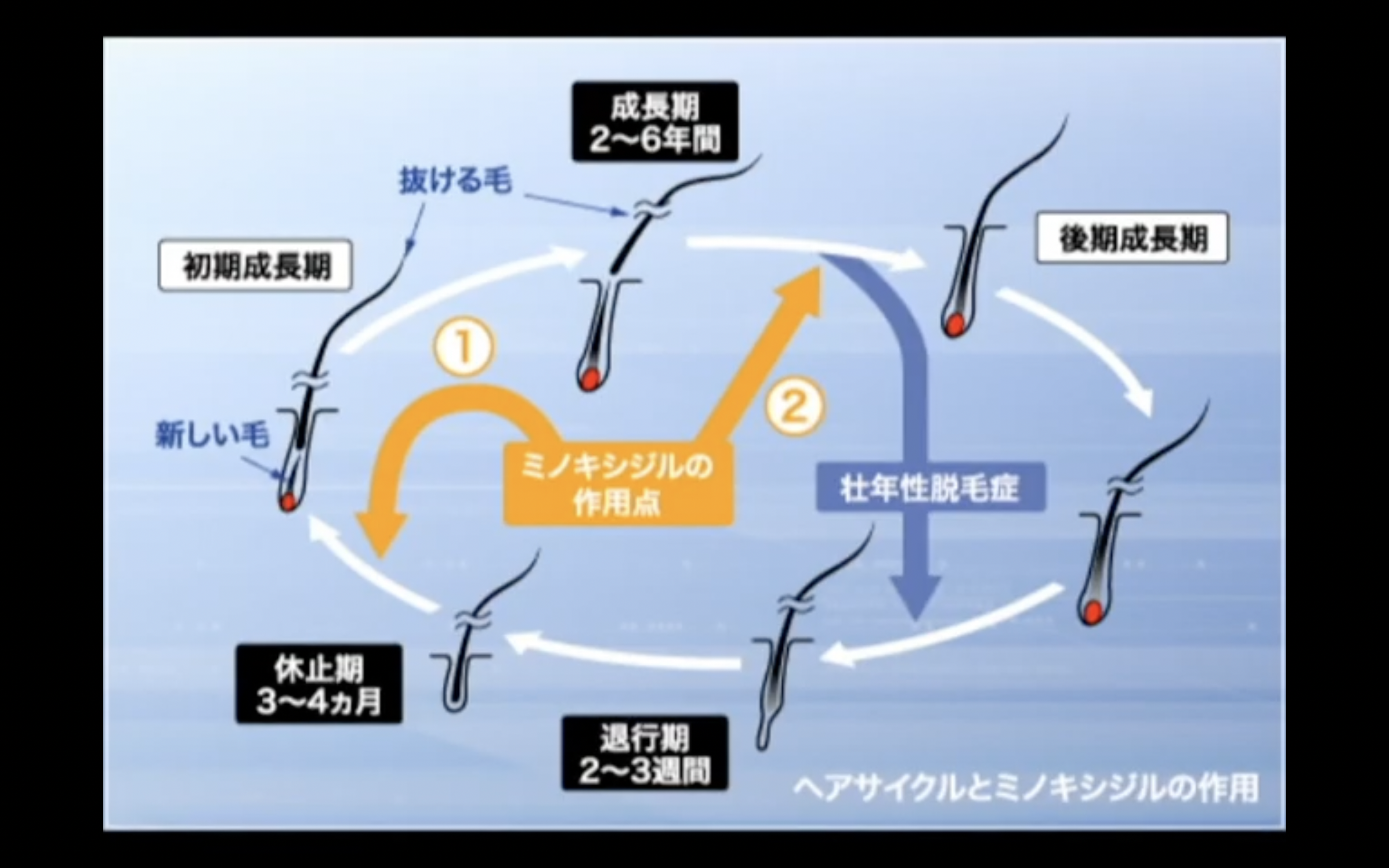 Screenshot 2025-11-09 at 1.49.37 PM.png