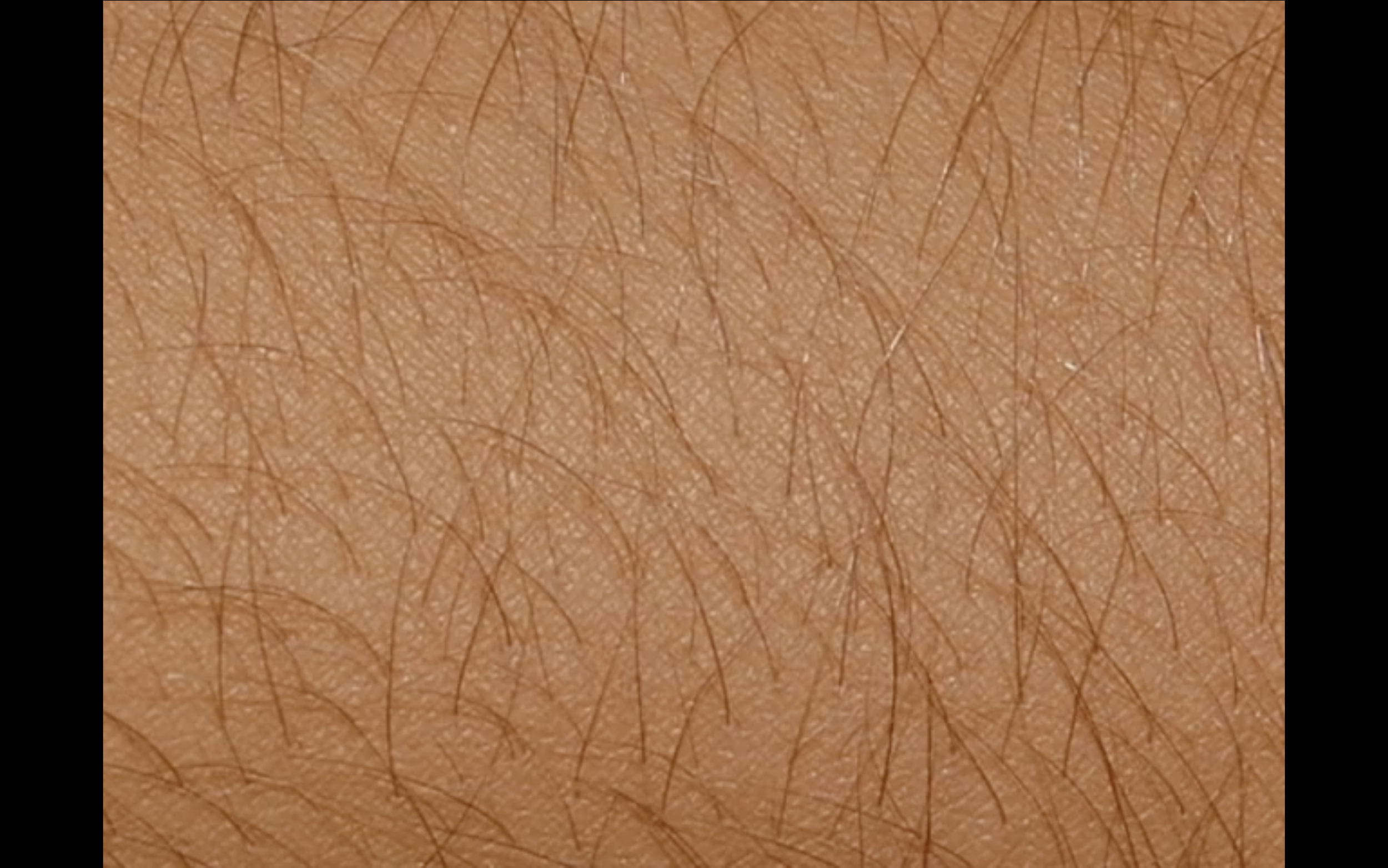 Screenshot 2025-11-09 at 1.48.50 PM.png