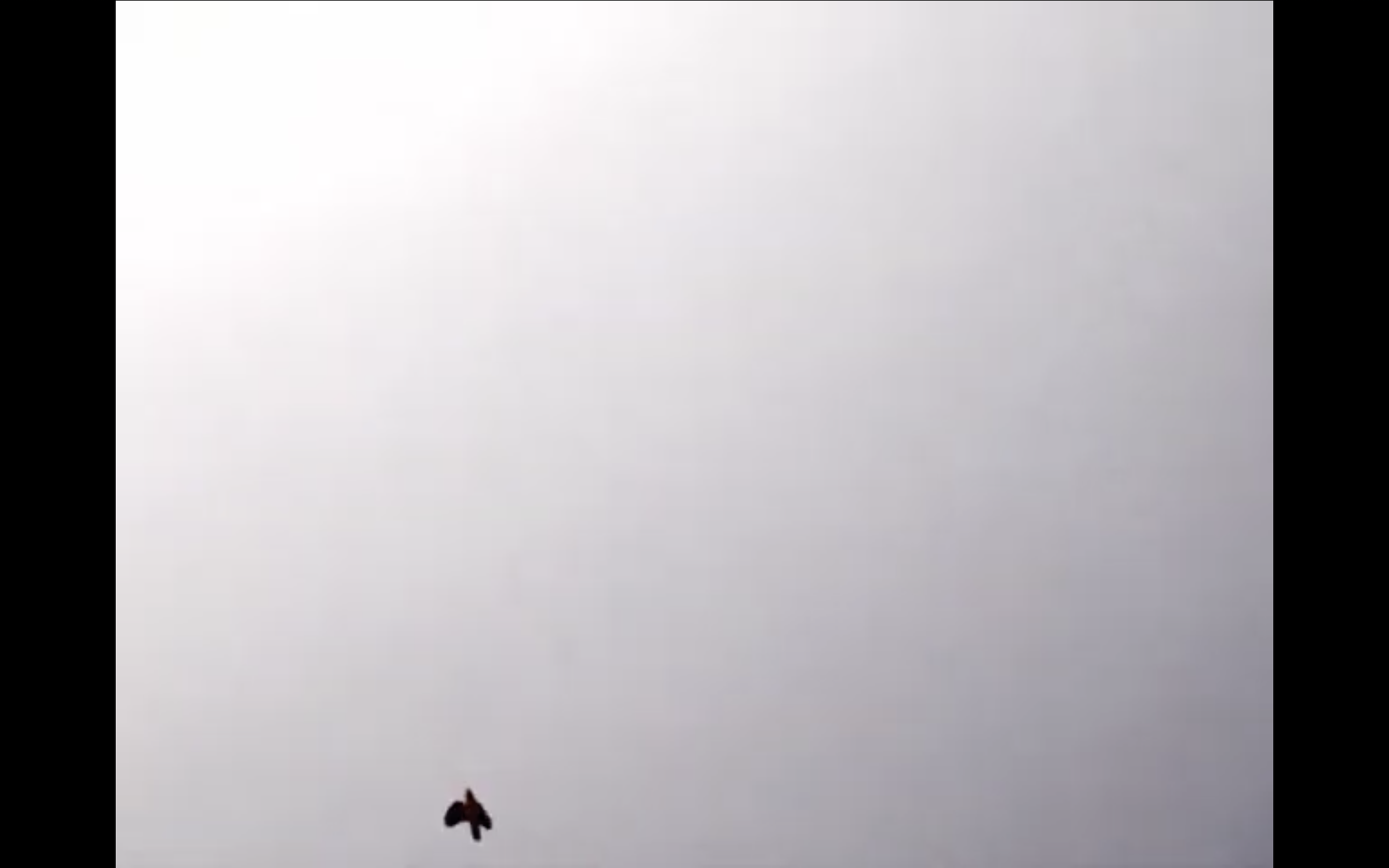 Screenshot 2025-07-21 at 11.57.48 AM.png