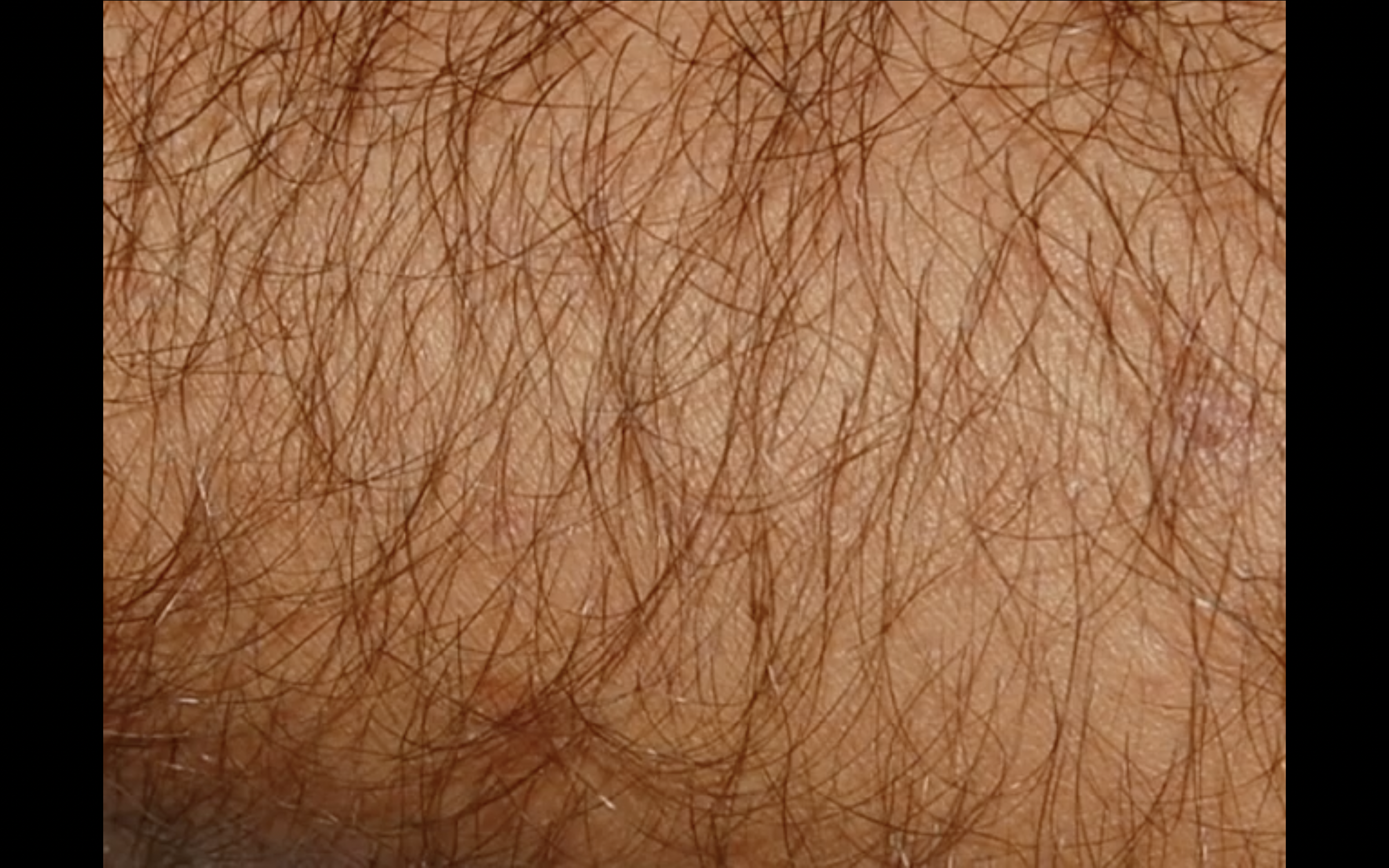 Screenshot 2025-11-09 at 1.49.11 PM.png