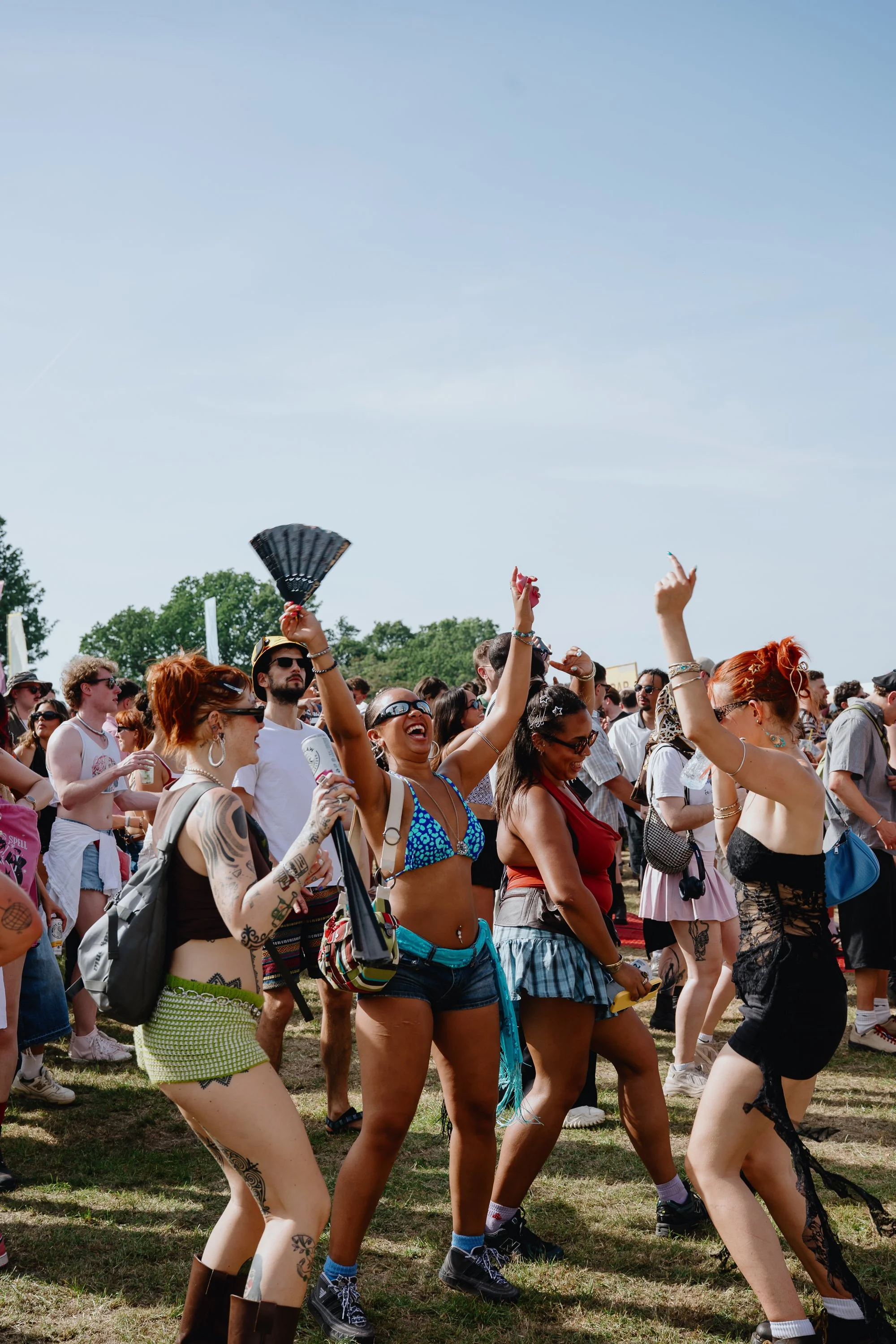 Field Day festival photo