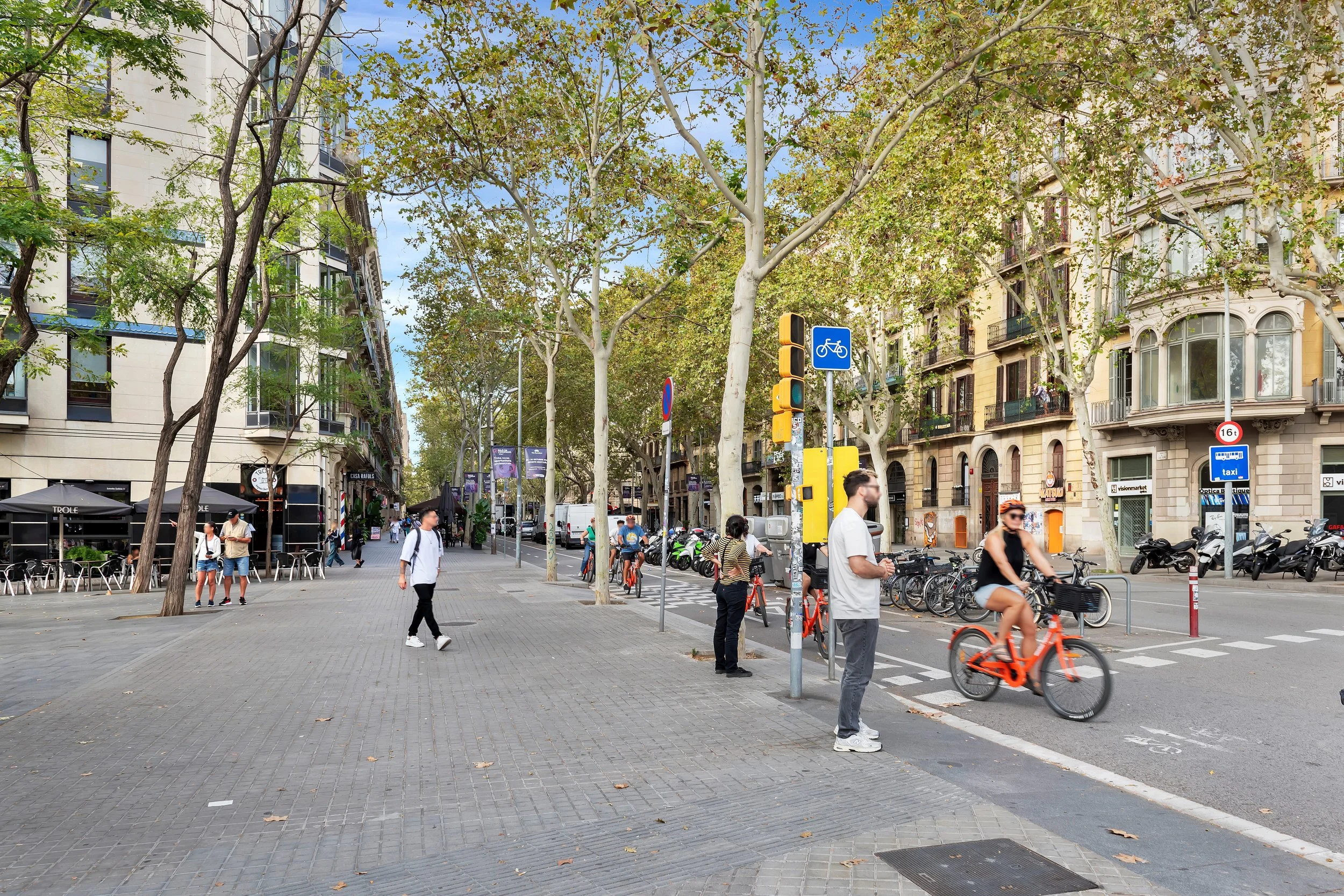Avenida urbana con árboles y gente caminando y andando en bicicleta