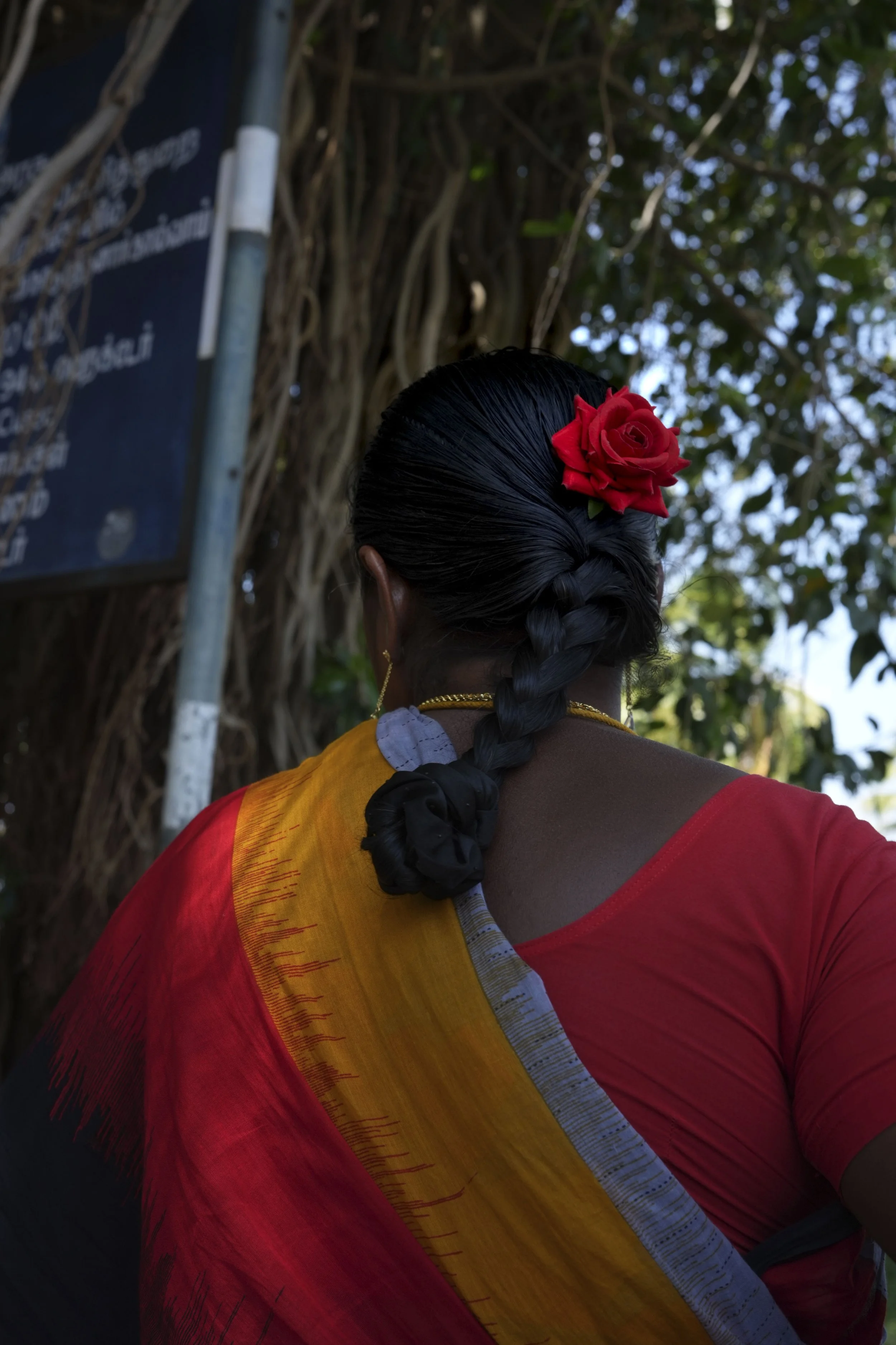 Rosa, Nagerkoil, Tamilnadu, 2026