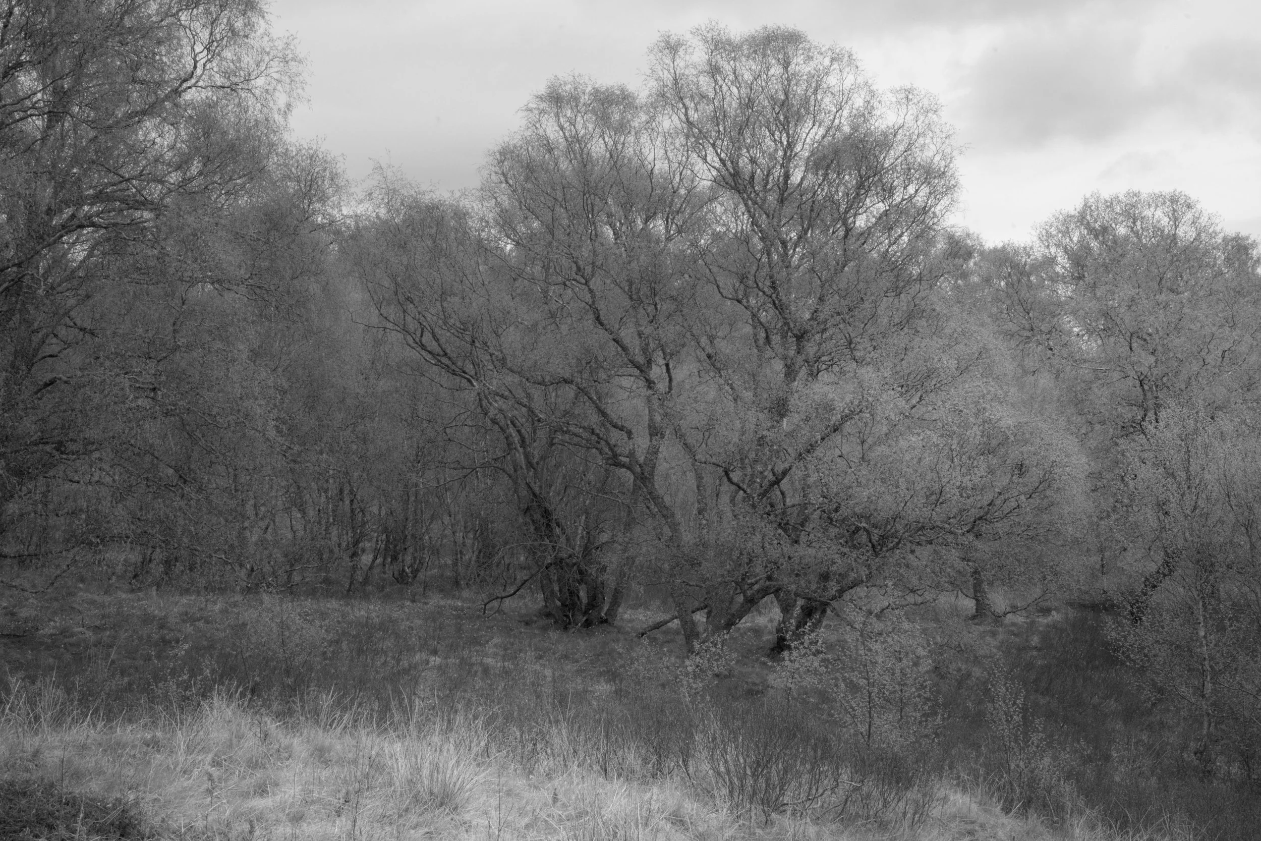 DSC01477.jpg