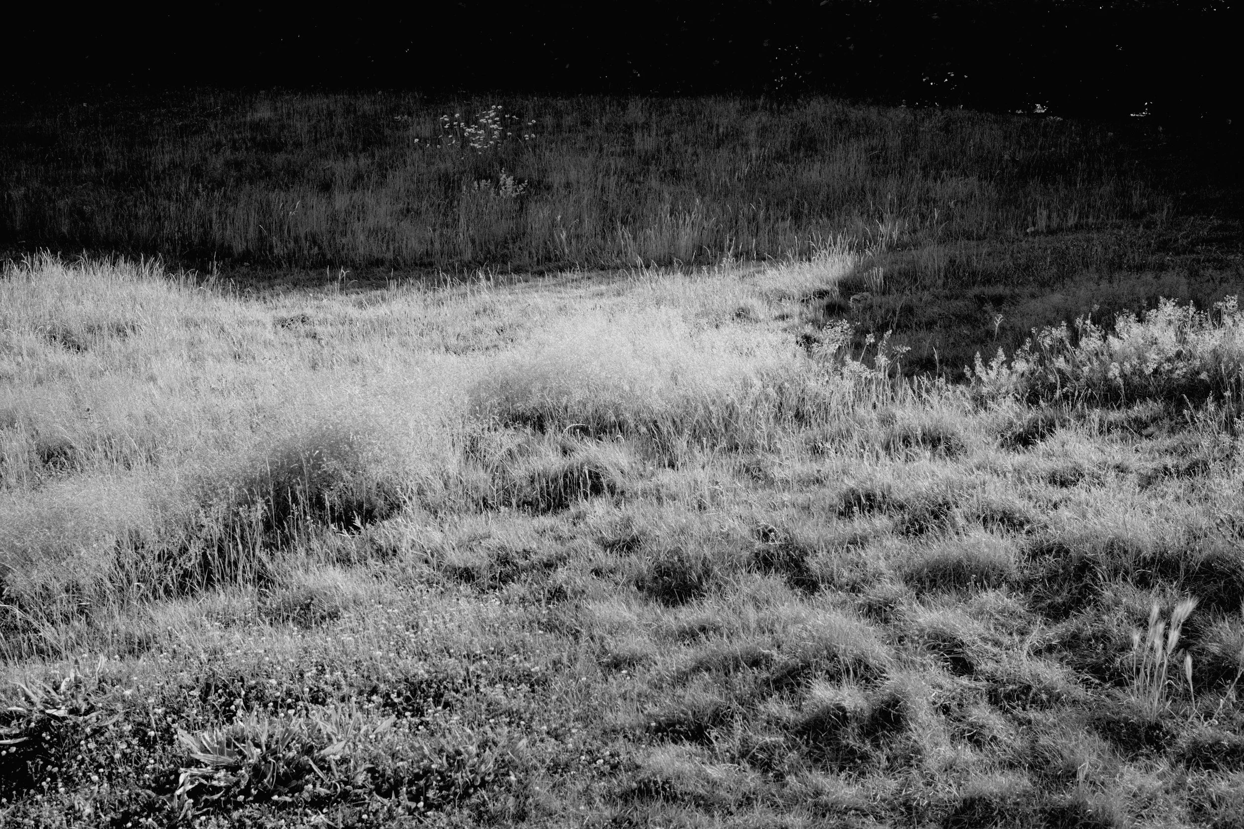 DSC02085.jpg
