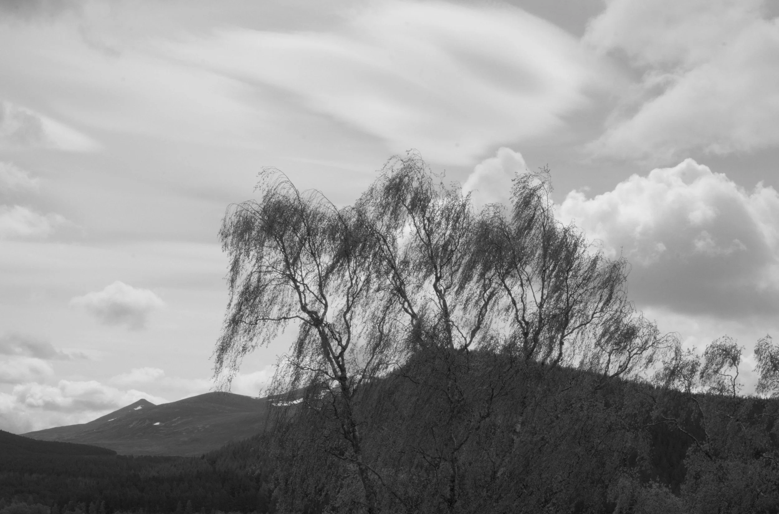 DSC01476.jpg