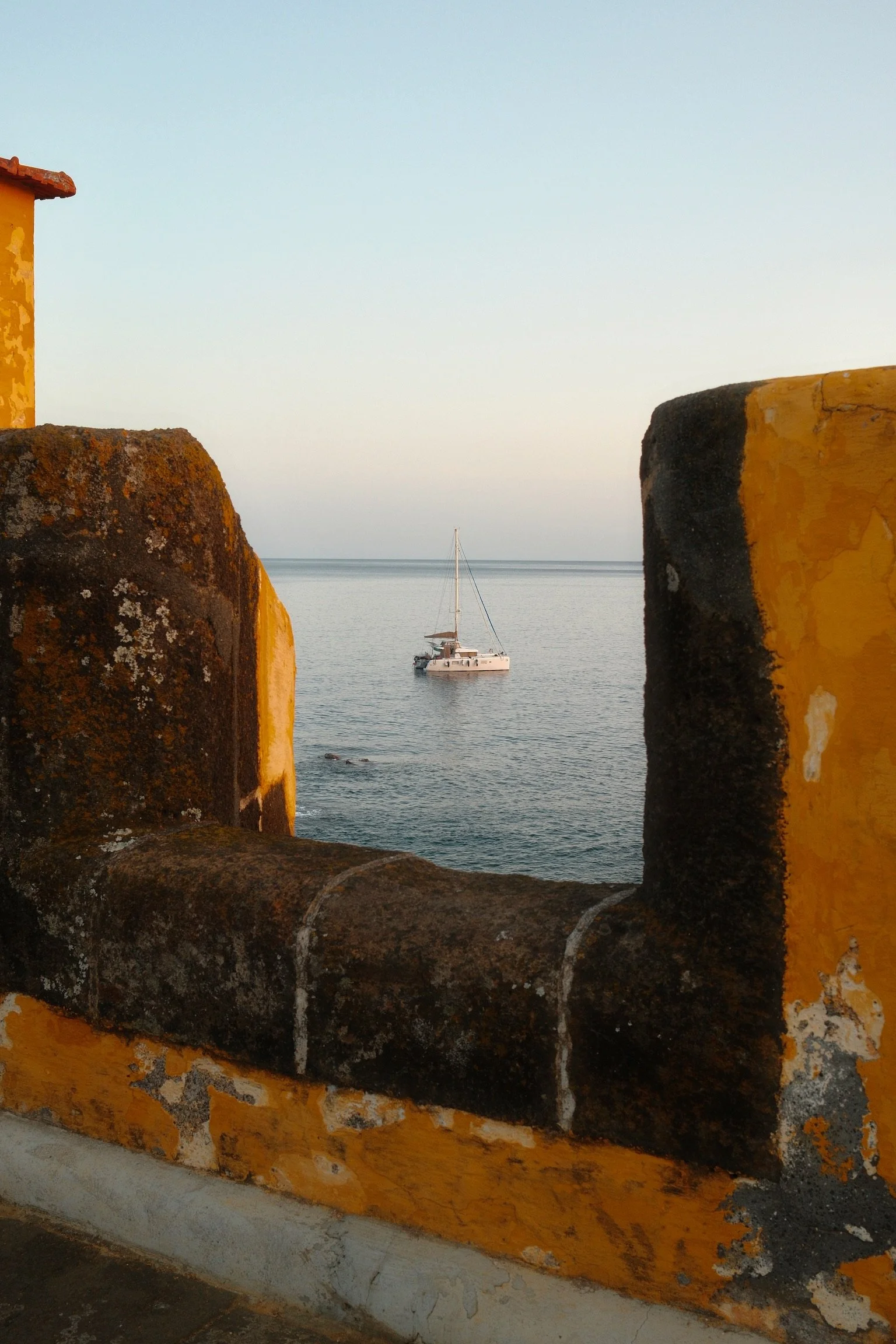 IMG_0919.jpeg