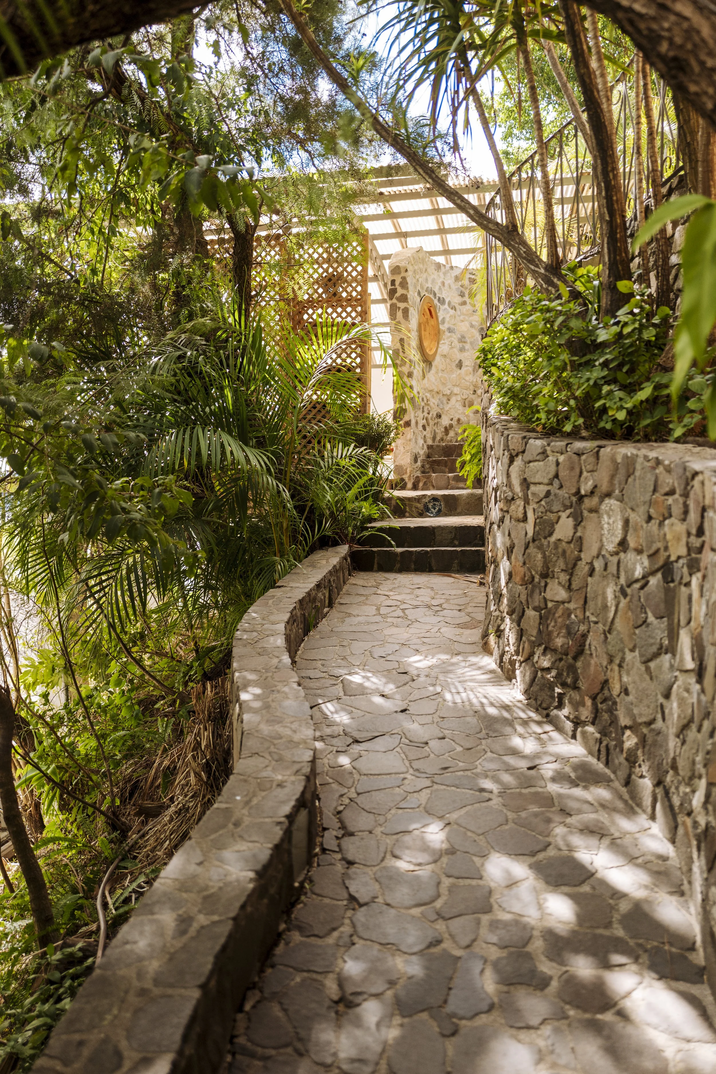 Path to Zendo Jake 2025.jpg