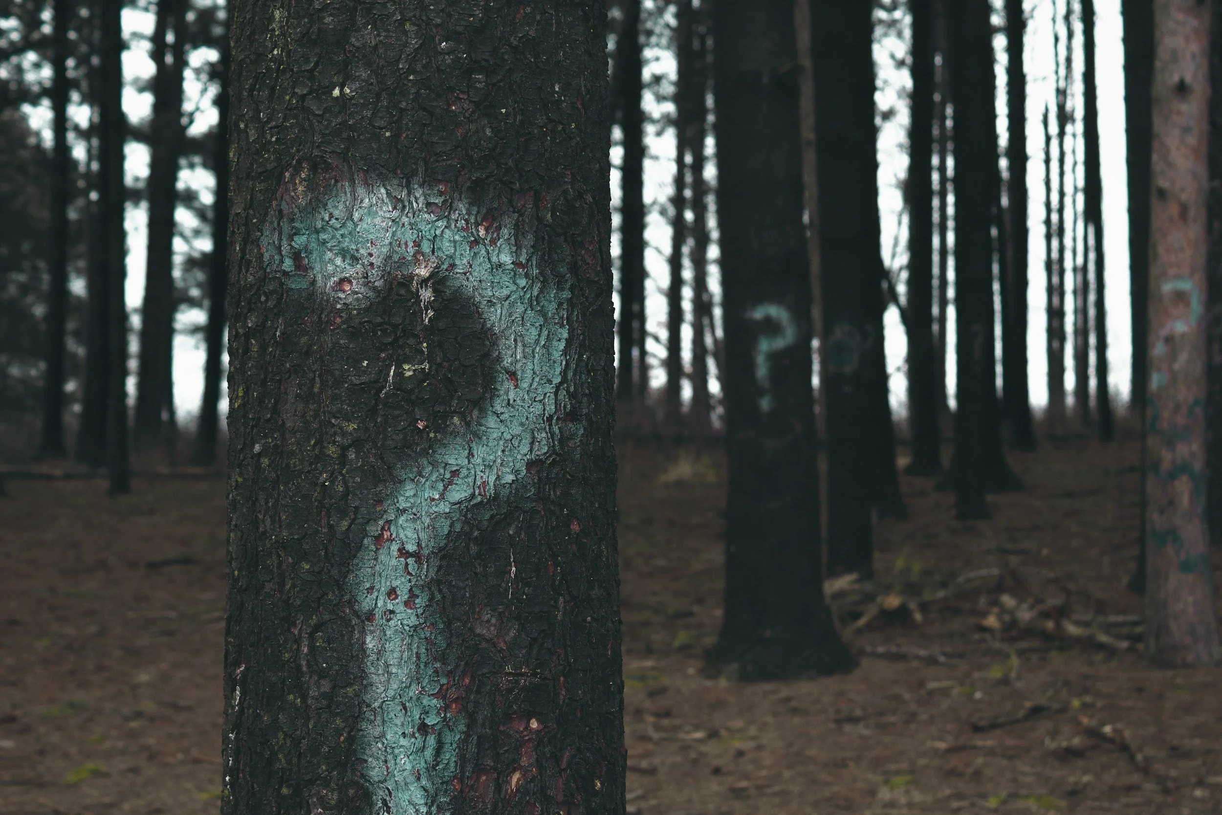 Why is it so hard to leave a toxic relationship?