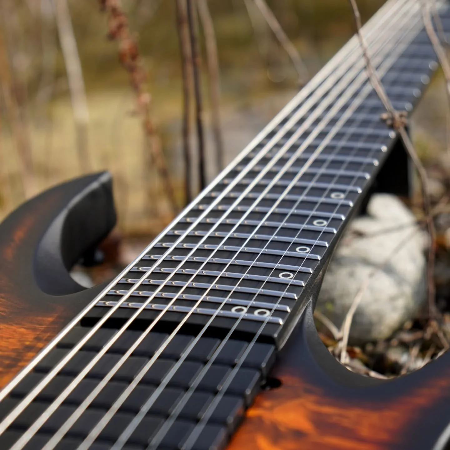 A few more pics of the PolyMap guitar