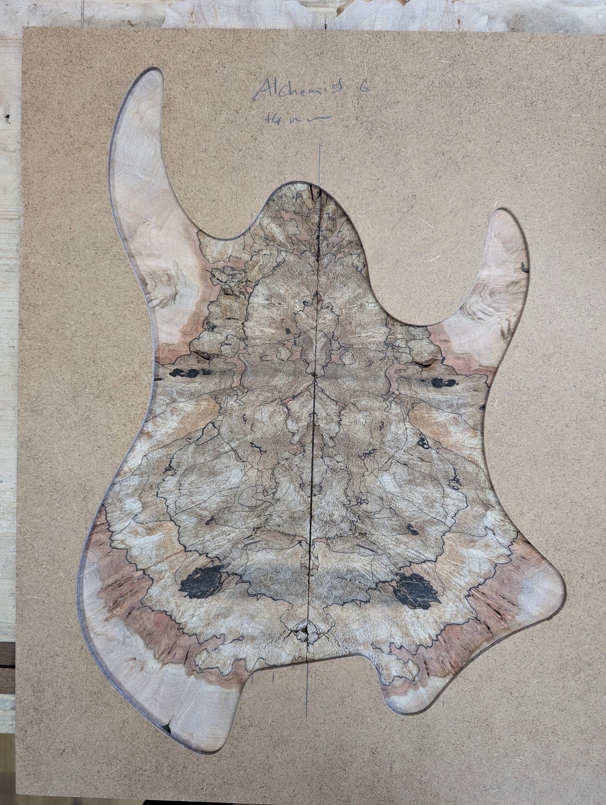 Maple Burl (MB11) | 250 CHF