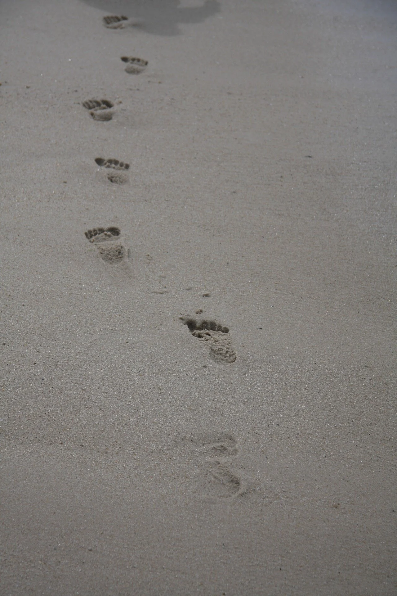 sylt-2666790_1920.jpg