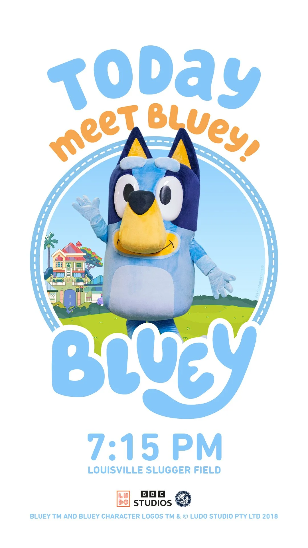 Bluey_Story.jpg