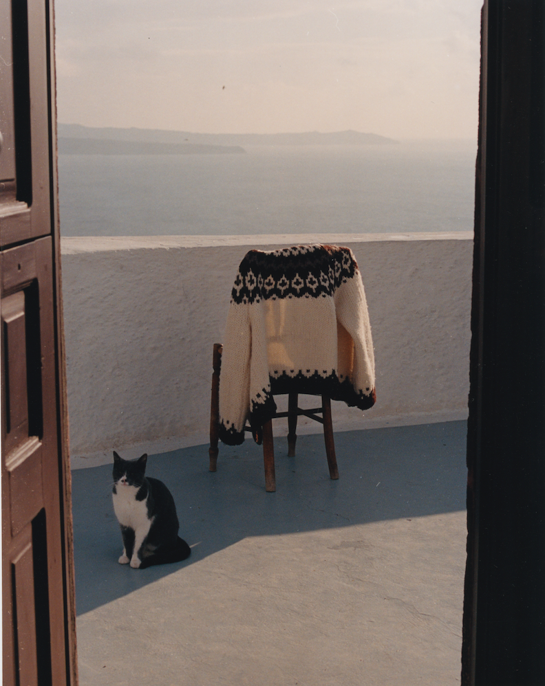 Le chat