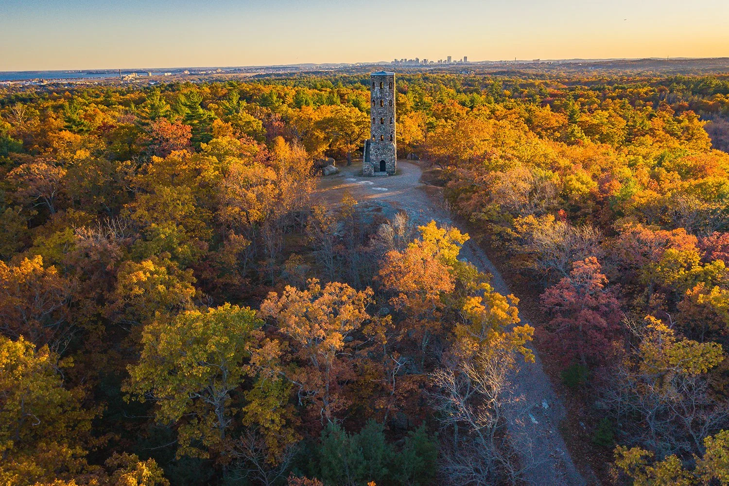 LynnWoodsFoliageDrone copy.jpg