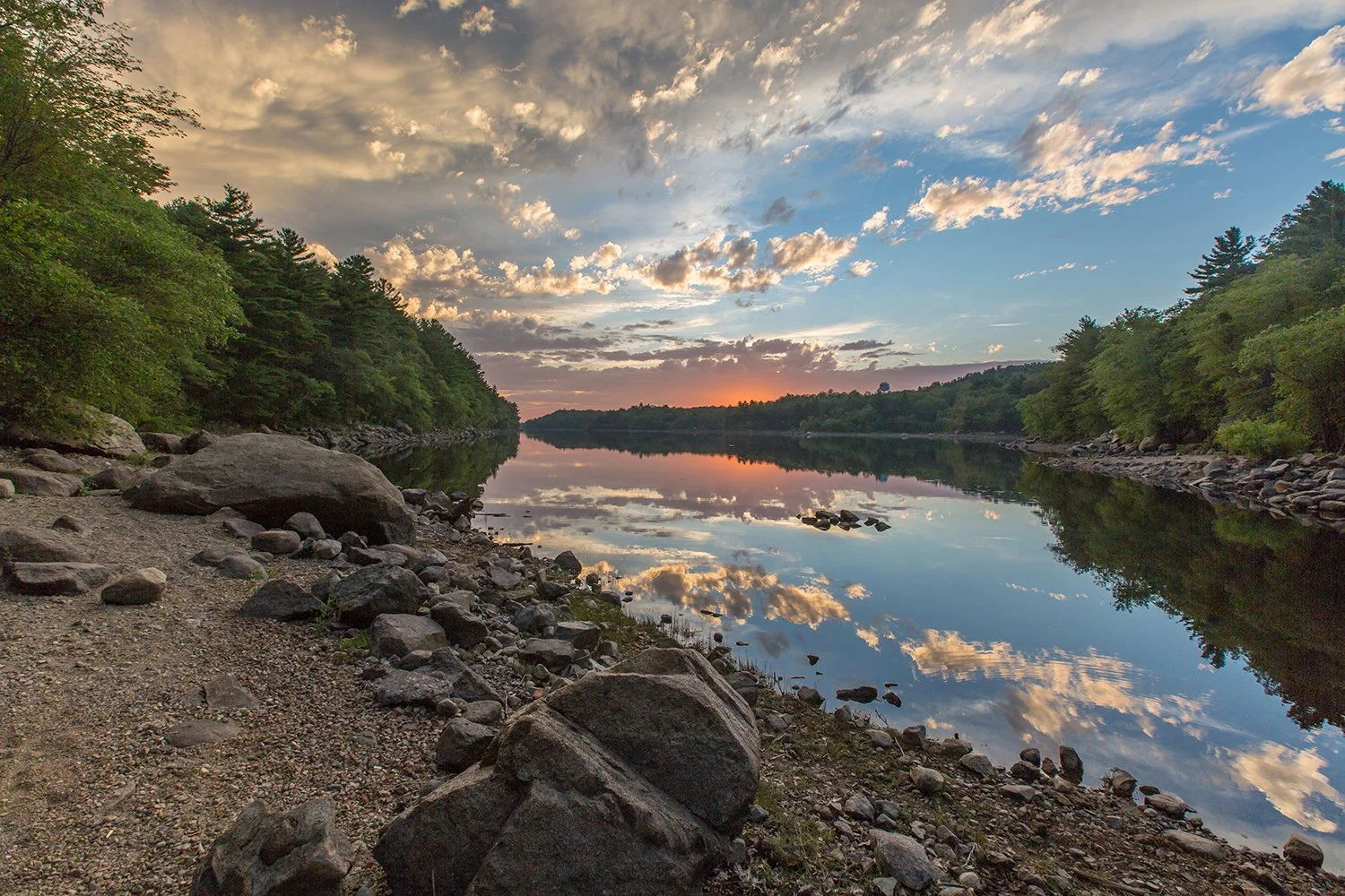 LynnWoodsWaldenPond copy.jpg