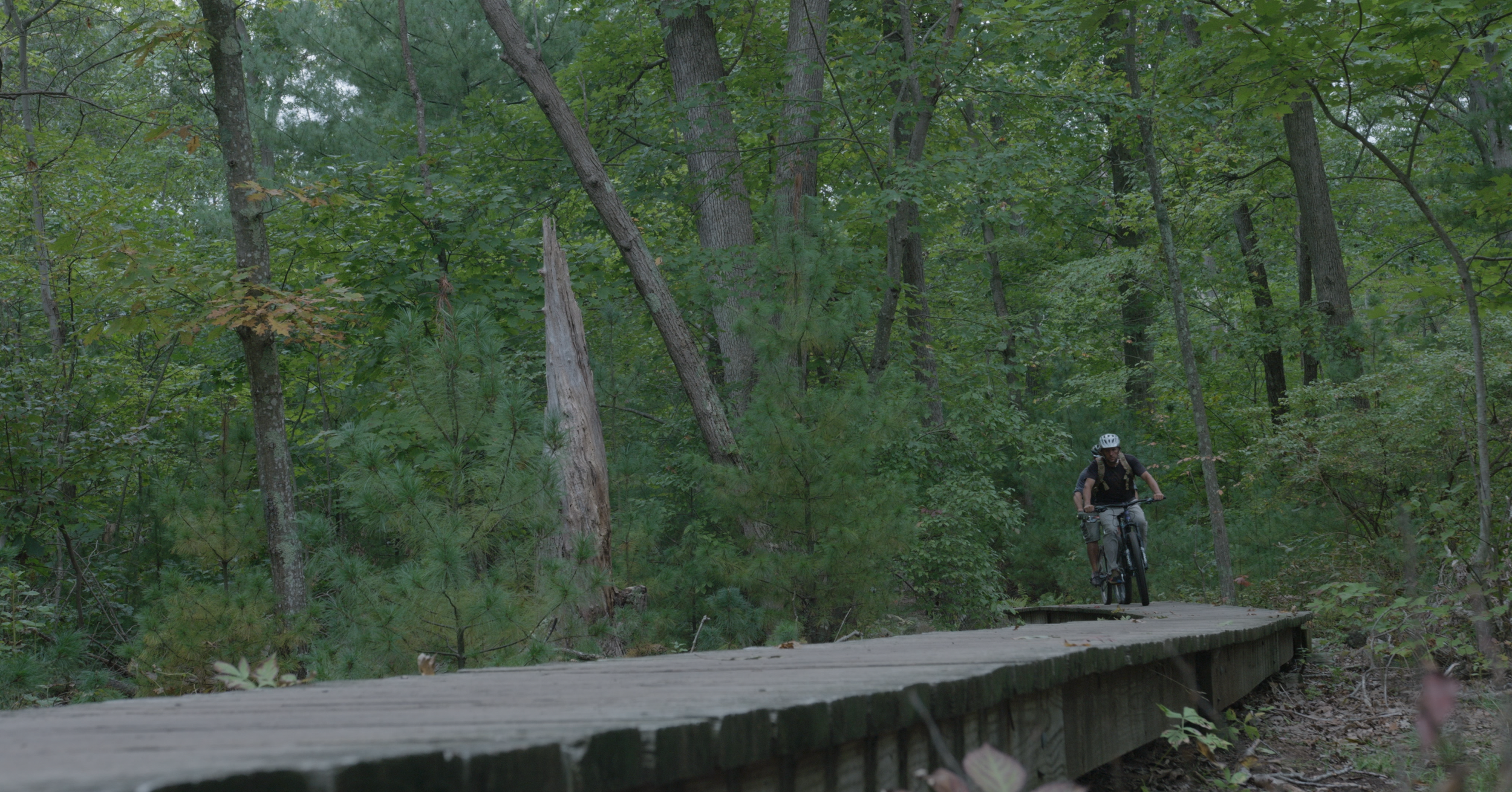 Screen Shot 2021-11-05 at 11.55.43 AM.png