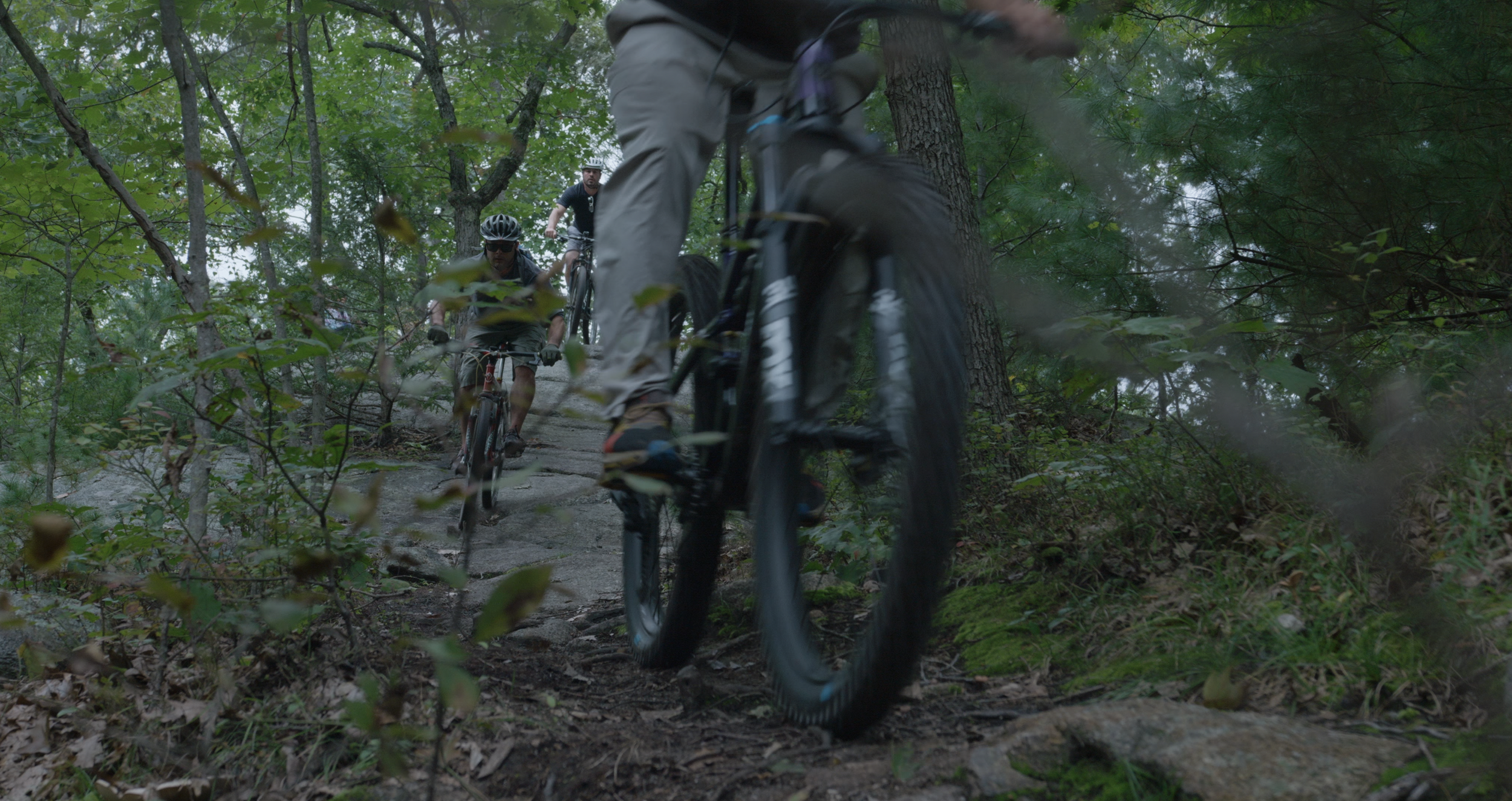 Screen Shot 2021-11-05 at 11.55.54 AM.png