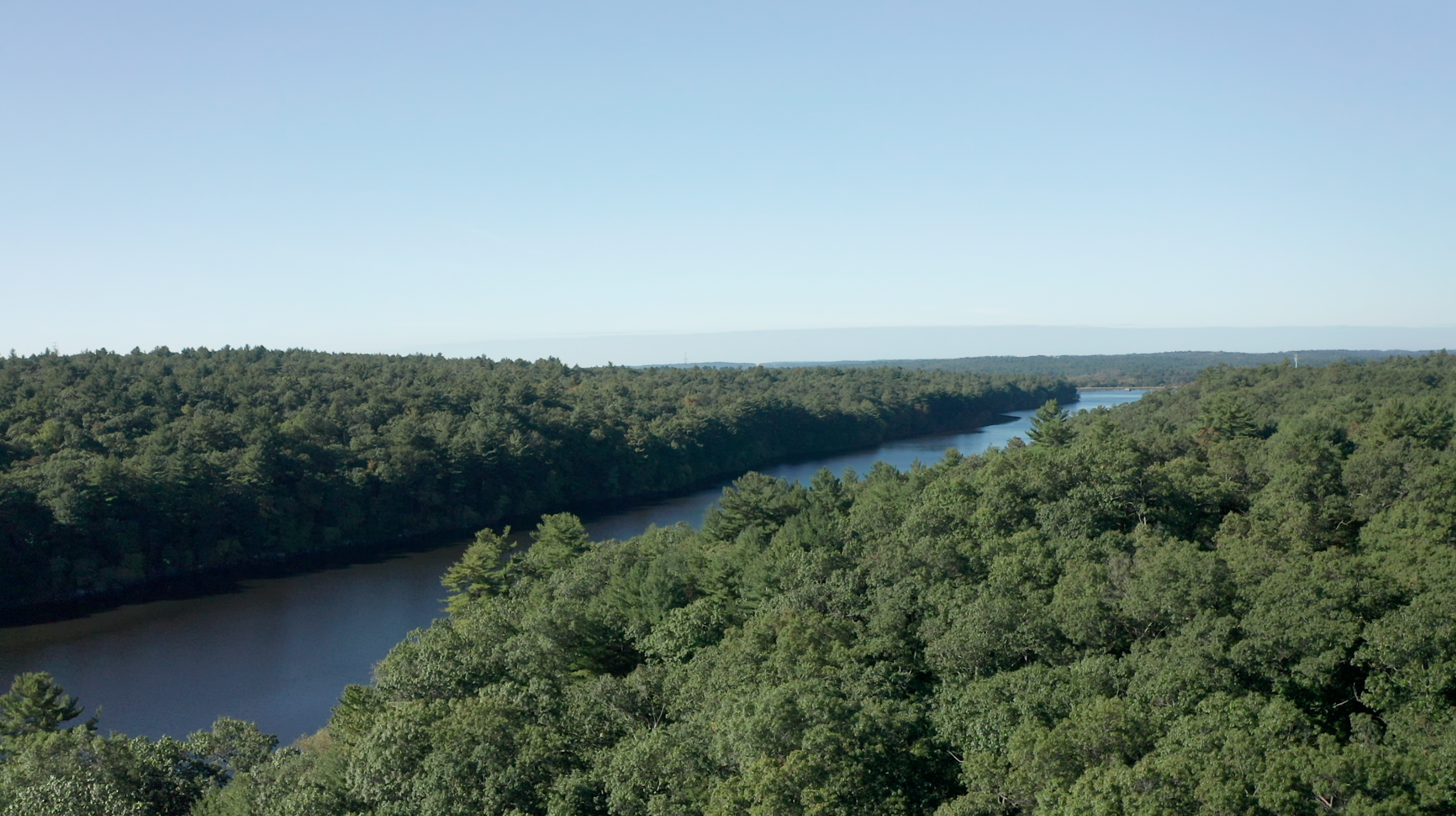 Screen Shot 2021-11-05 at 11.55.19 AM.png