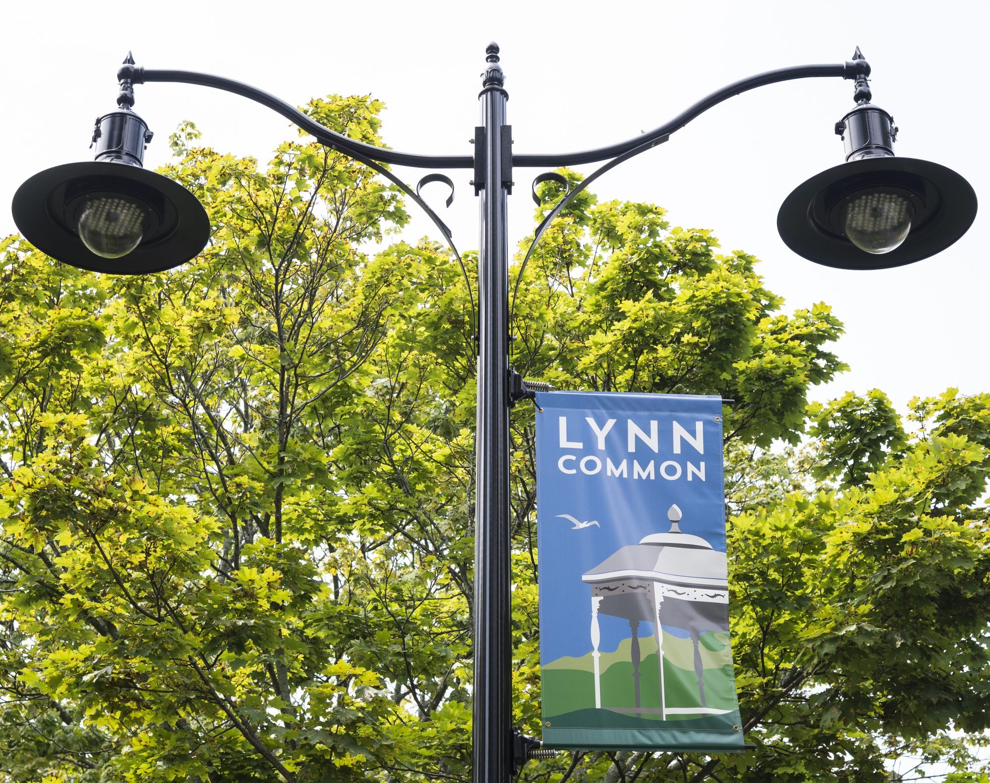 RS162001_8_17_18_Lynn_Common_banners_1-e1534723676438.jpg