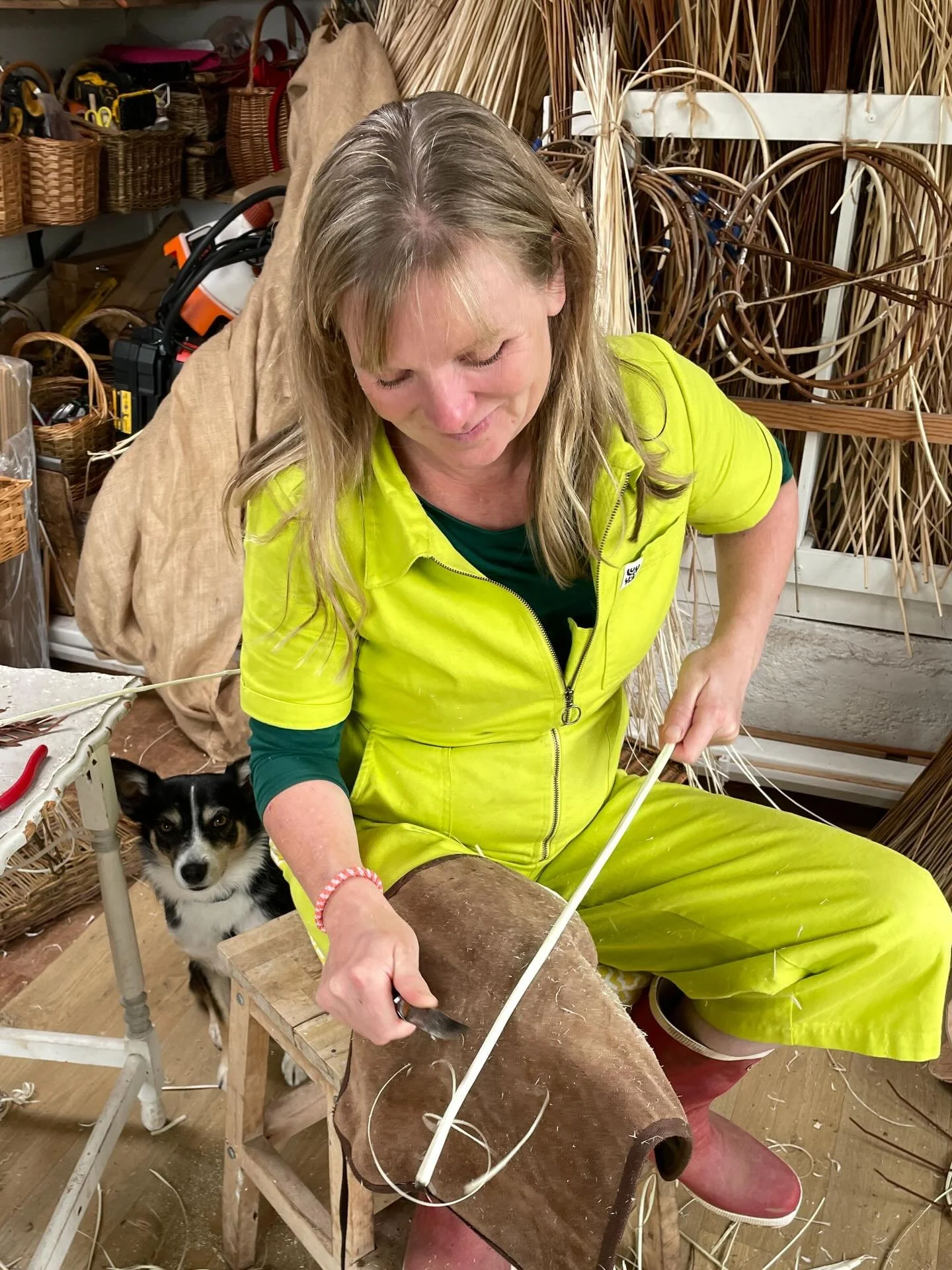 Just searching for an image of myself basketmaking in my home studio and burst out laughing when I found this one in which Bean my lovely little rescue dog photo bombed! 

Very lucky to have a brilliant canine basketry companion who is happy to spend